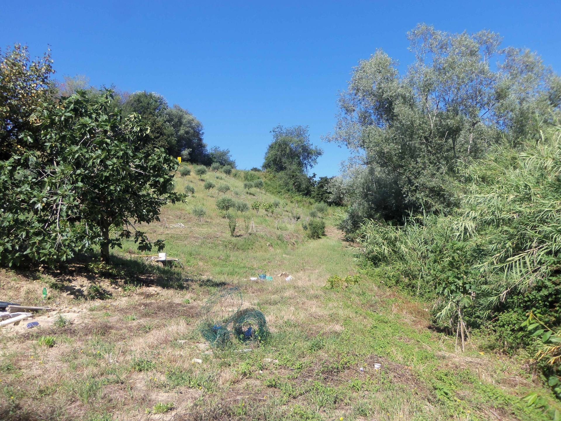 immagine annuncio 3 di 6