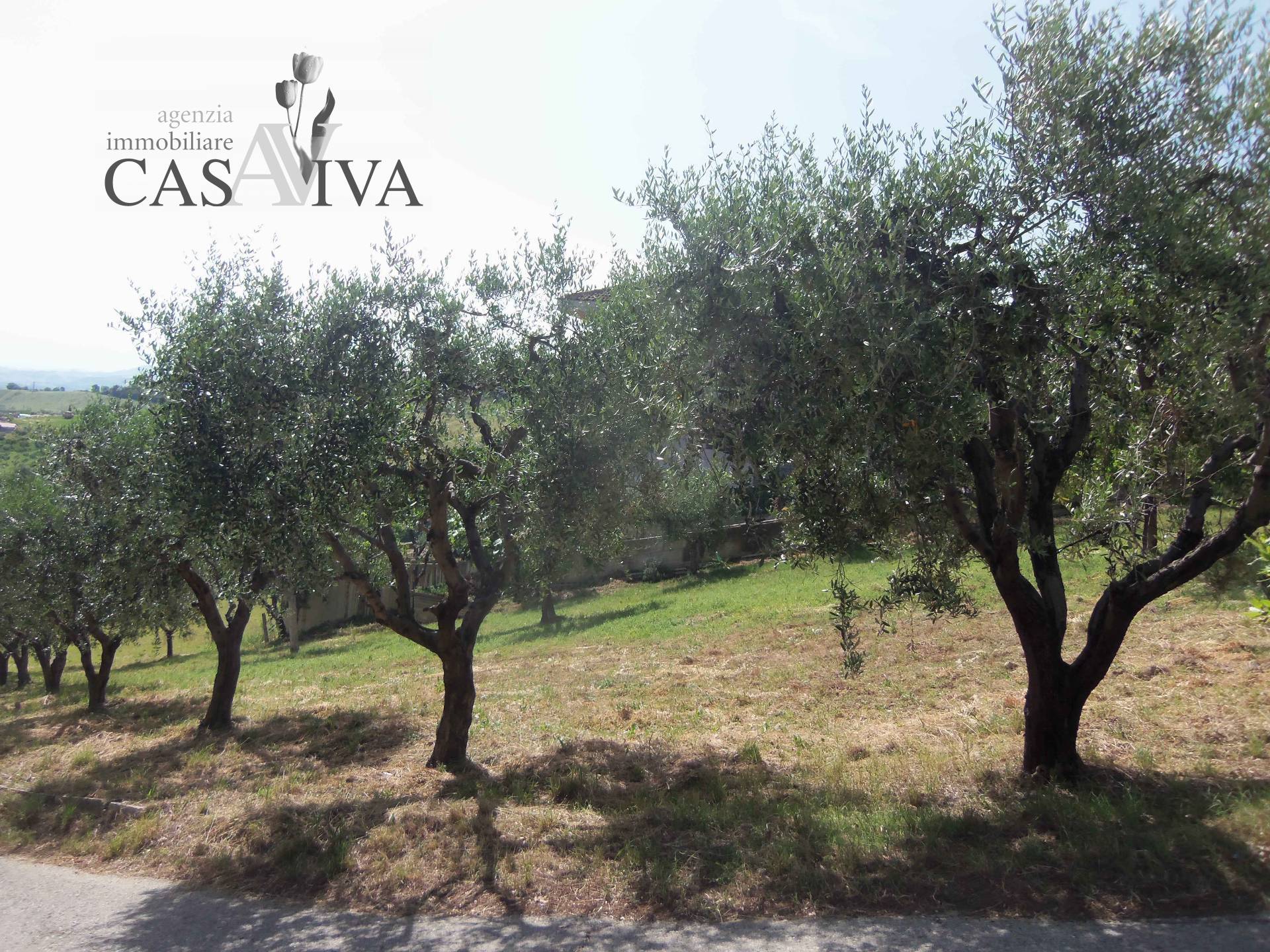 Terreno edificabile in vendita a Acquaviva Picena, Residenziale