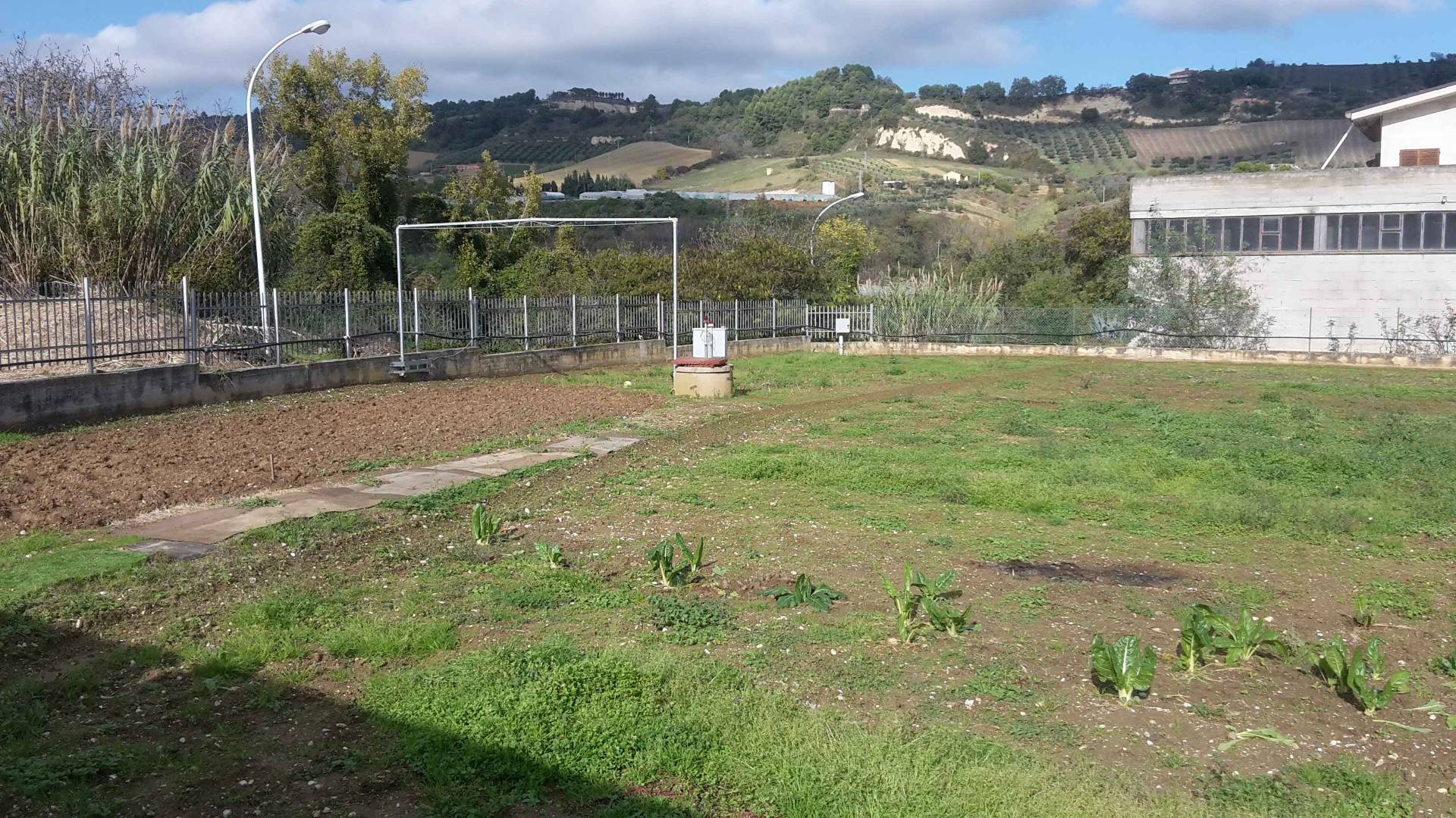 immagine annuncio 1 di 6
