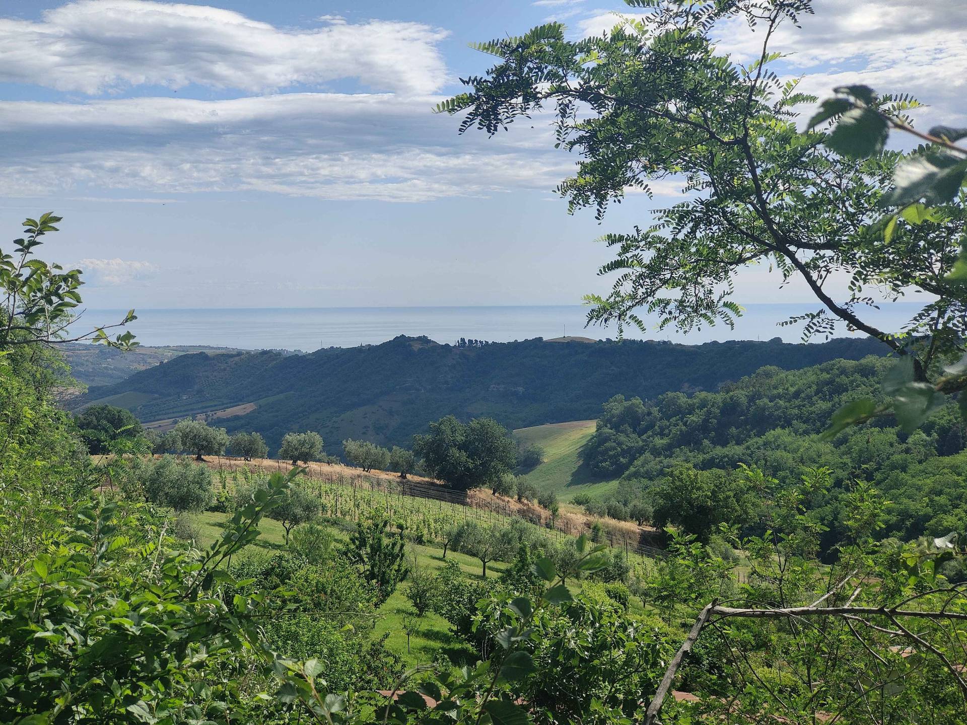 Rustico/Casale in vendita a Ripatransone, Centro Storico