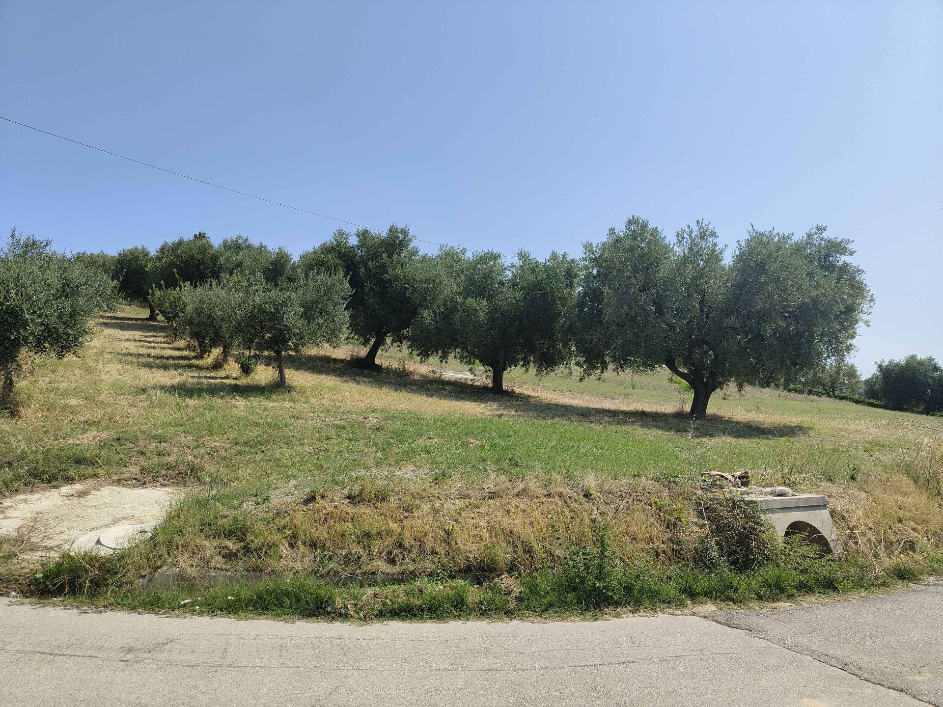 Terreno Agricolo in vendita a Acquaviva Picena