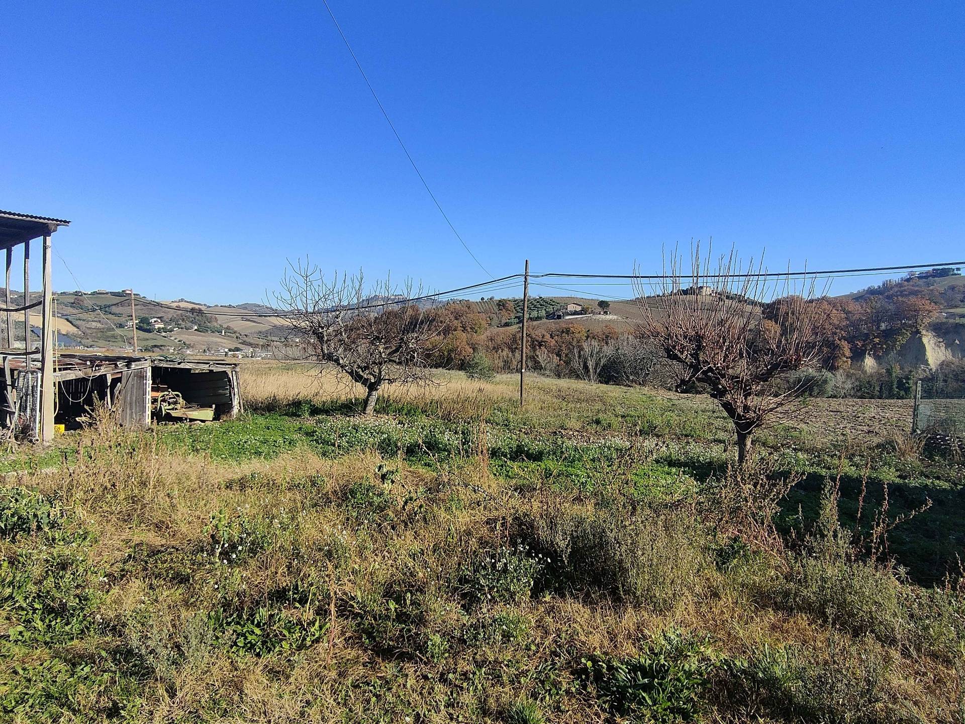 Rustico/Casale in vendita a Offida, Collinare