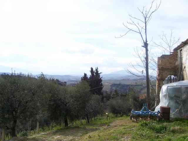 Rustico/Casale in vendita a Acquaviva Picena, Panoramica