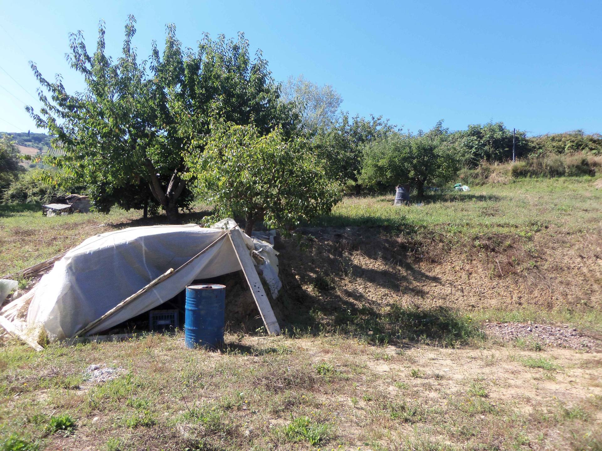 Terreno Agricolo in vendita a Acquaviva Picena