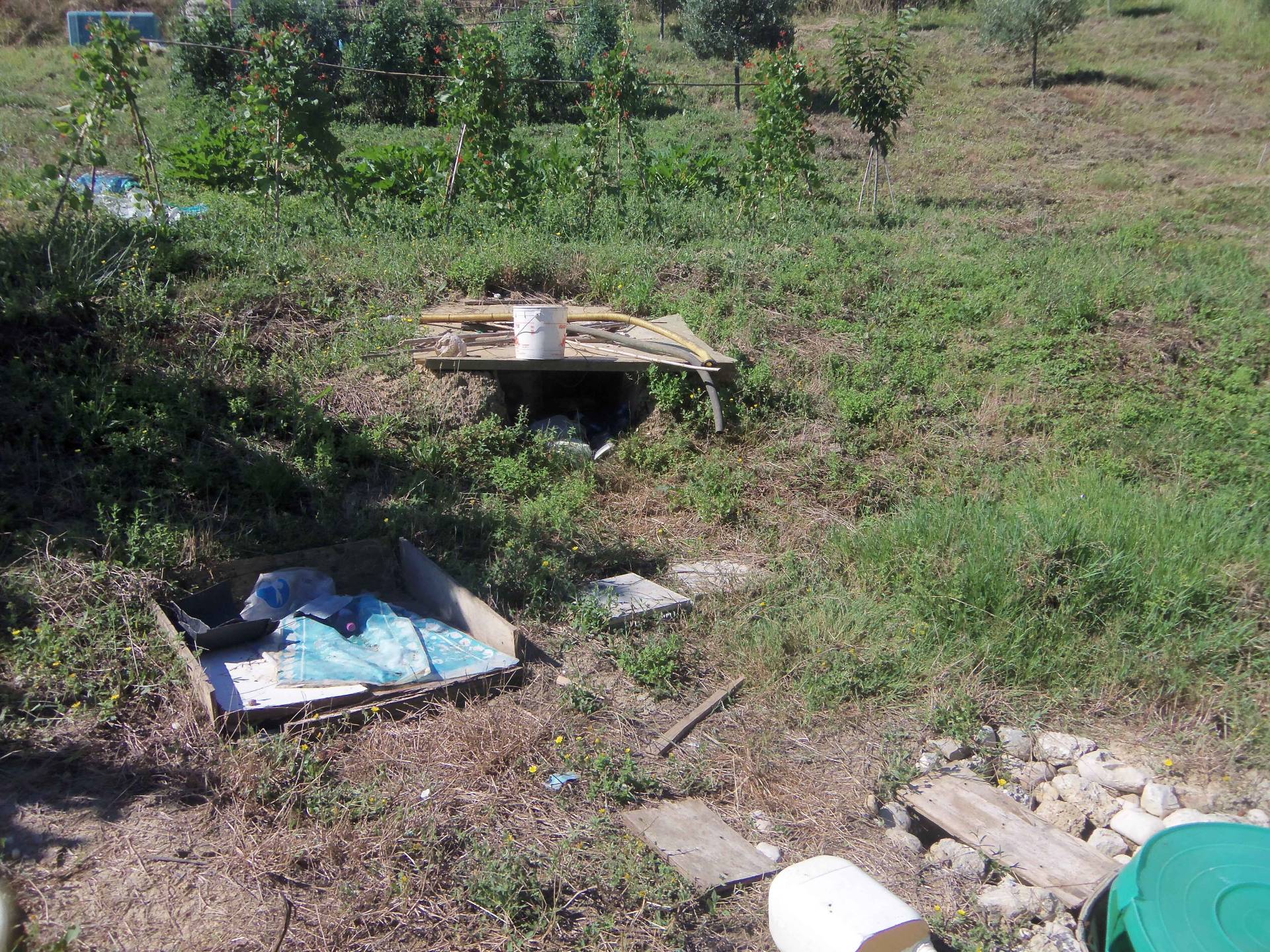 Terreno Agricolo in vendita a Acquaviva Picena