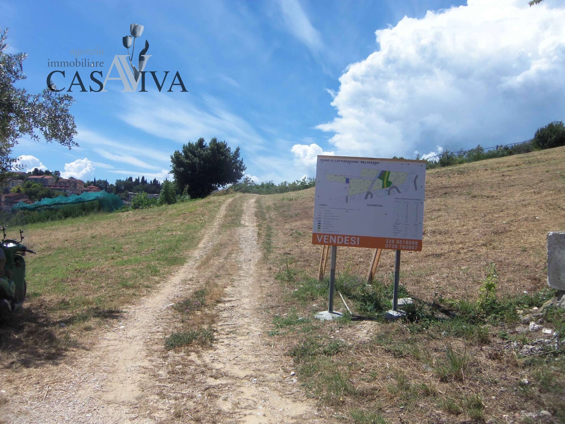 immagine annuncio 2 di 10