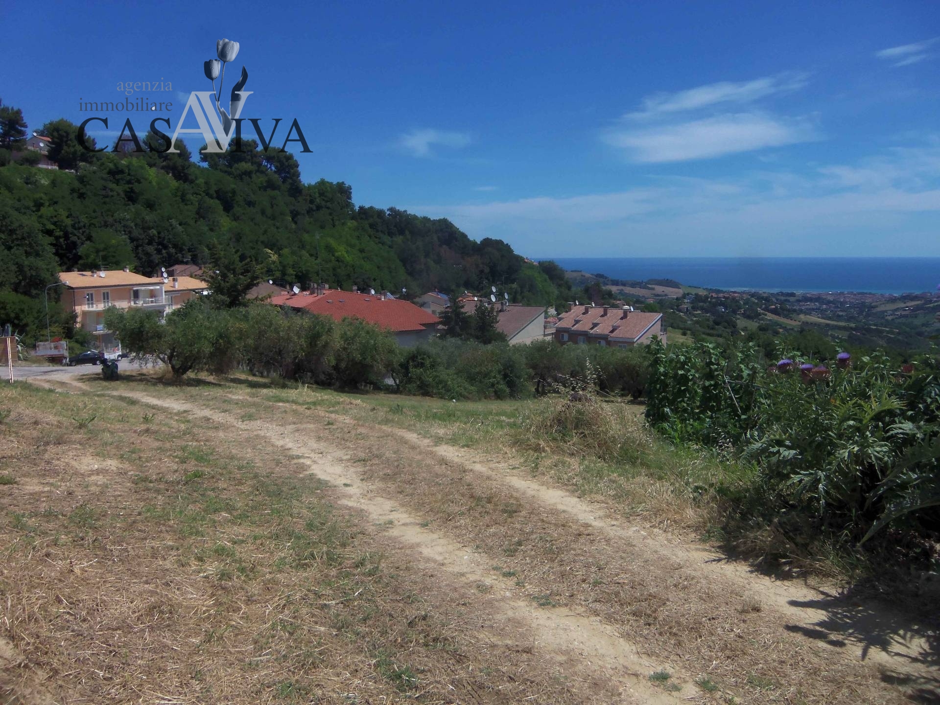 immagine annuncio 7 di 10