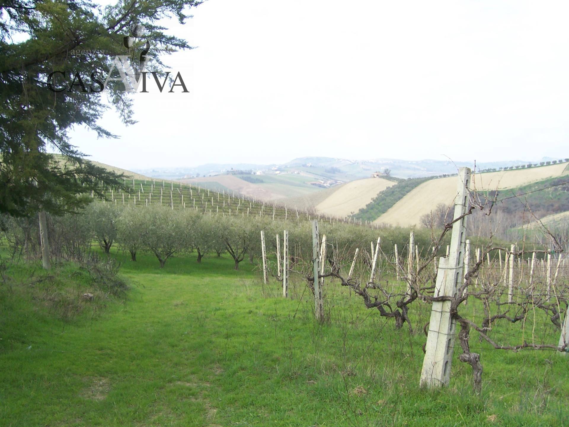 Rustico/Casale in vendita a Acquaviva Picena, Panoramica