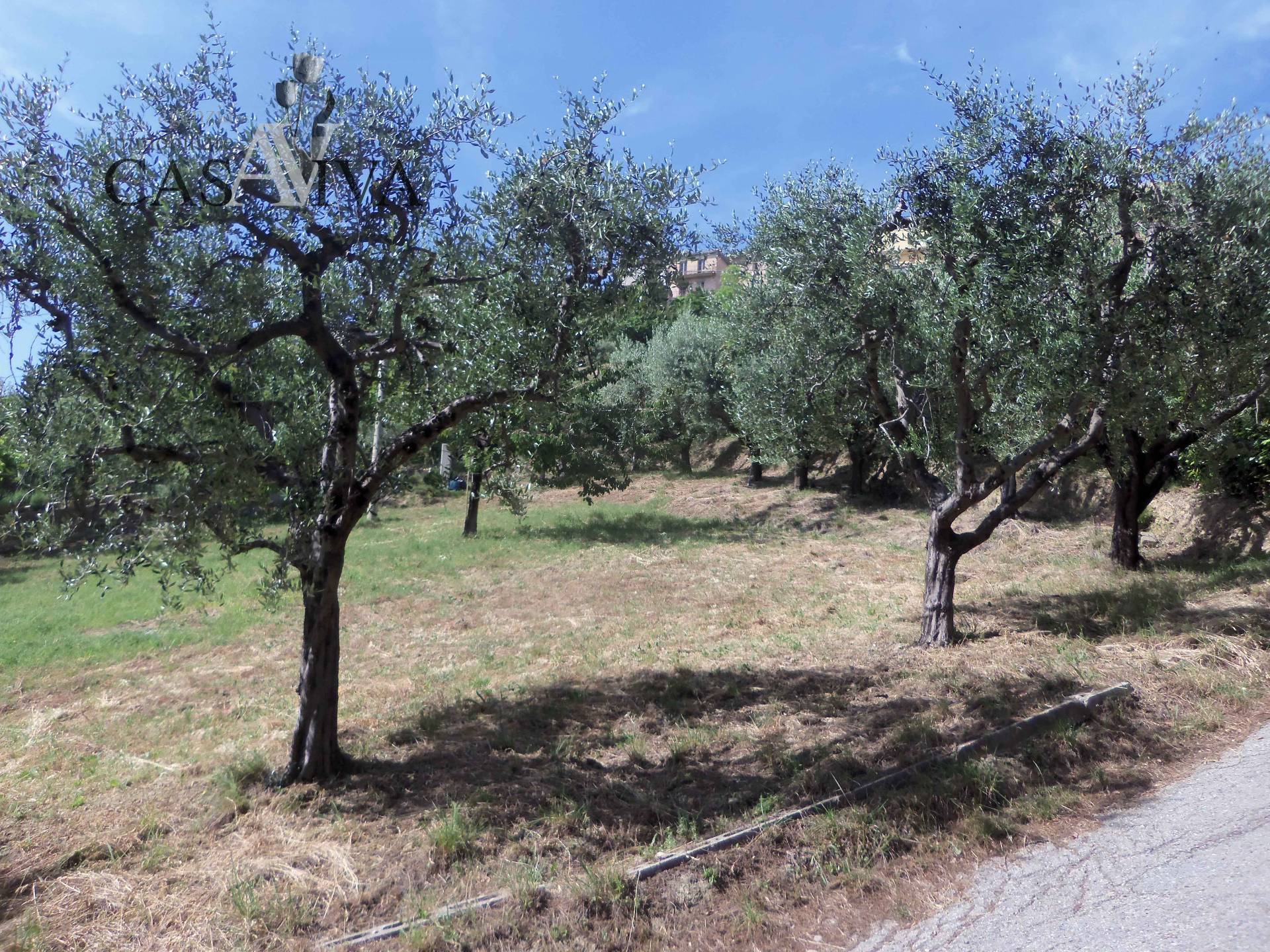 Terreno edificabile in vendita a Acquaviva Picena, Residenziale
