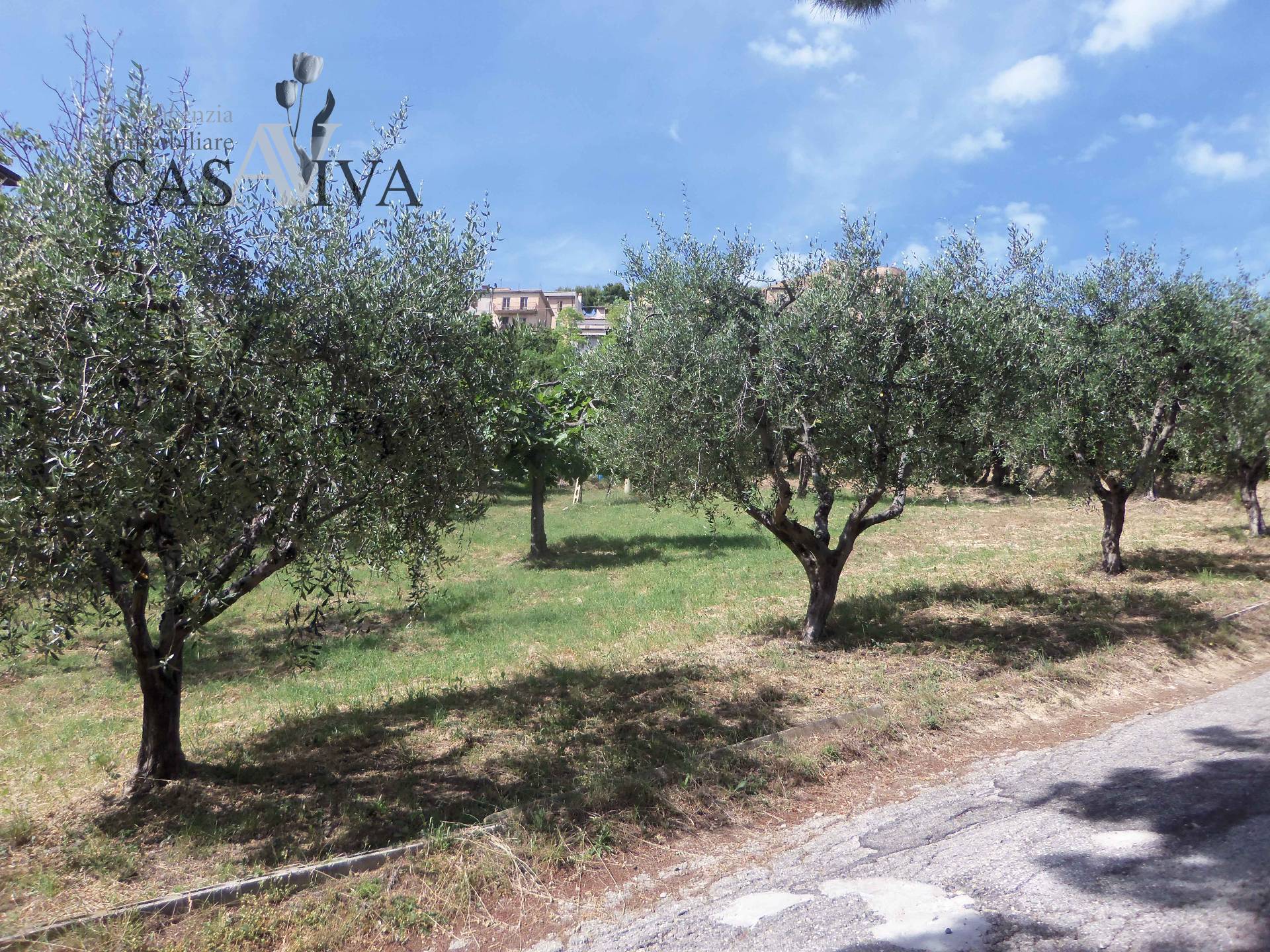 Terreno edificabile in vendita a Acquaviva Picena, Residenziale