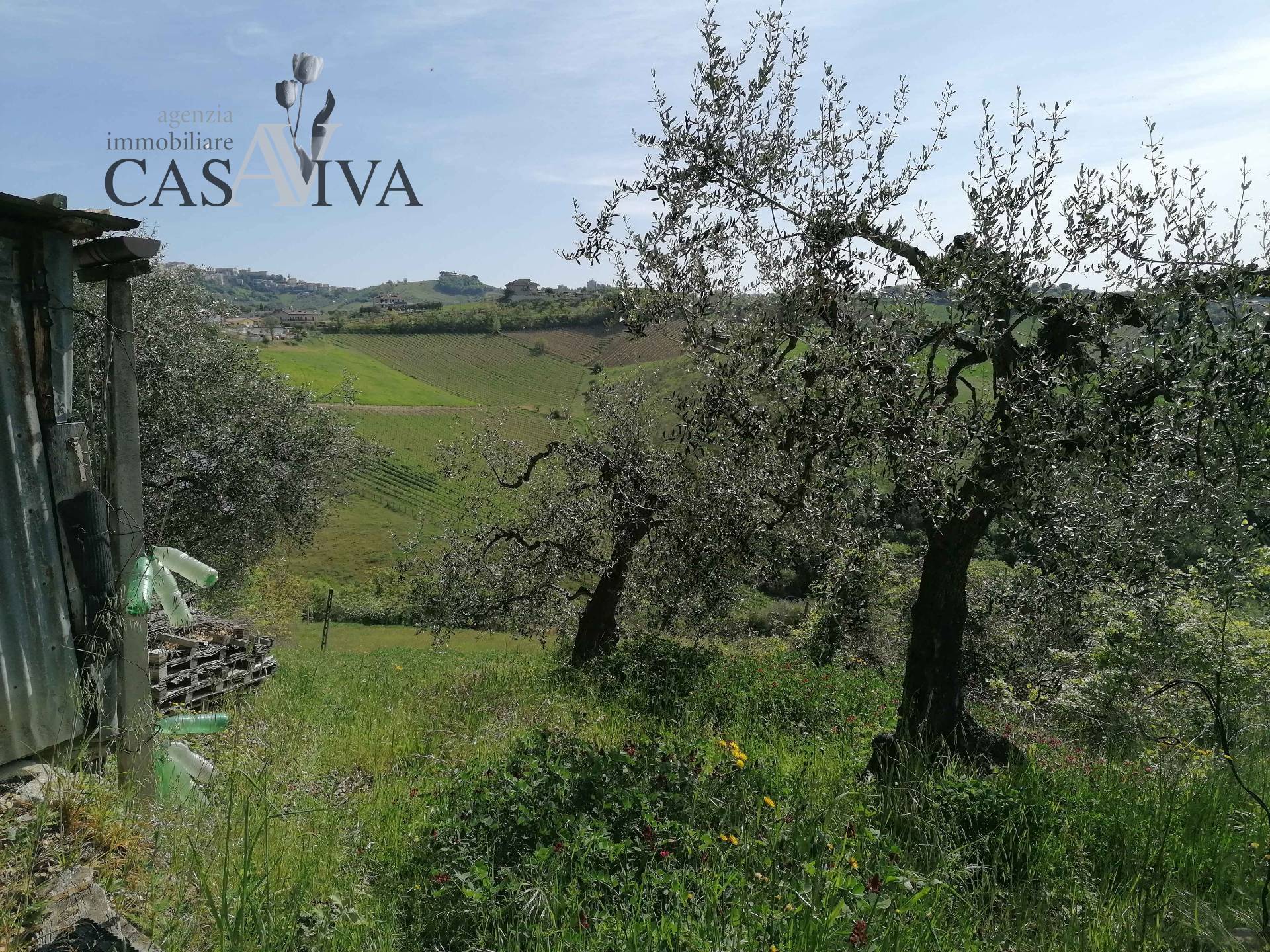 Terreno Agricolo in vendita a Acquaviva Picena, Forola