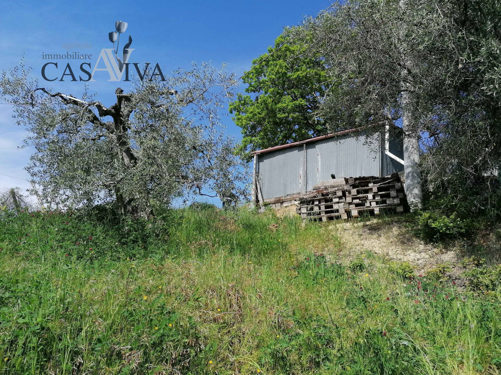 Terreno Agricolo in vendita a Acquaviva Picena, Forola
