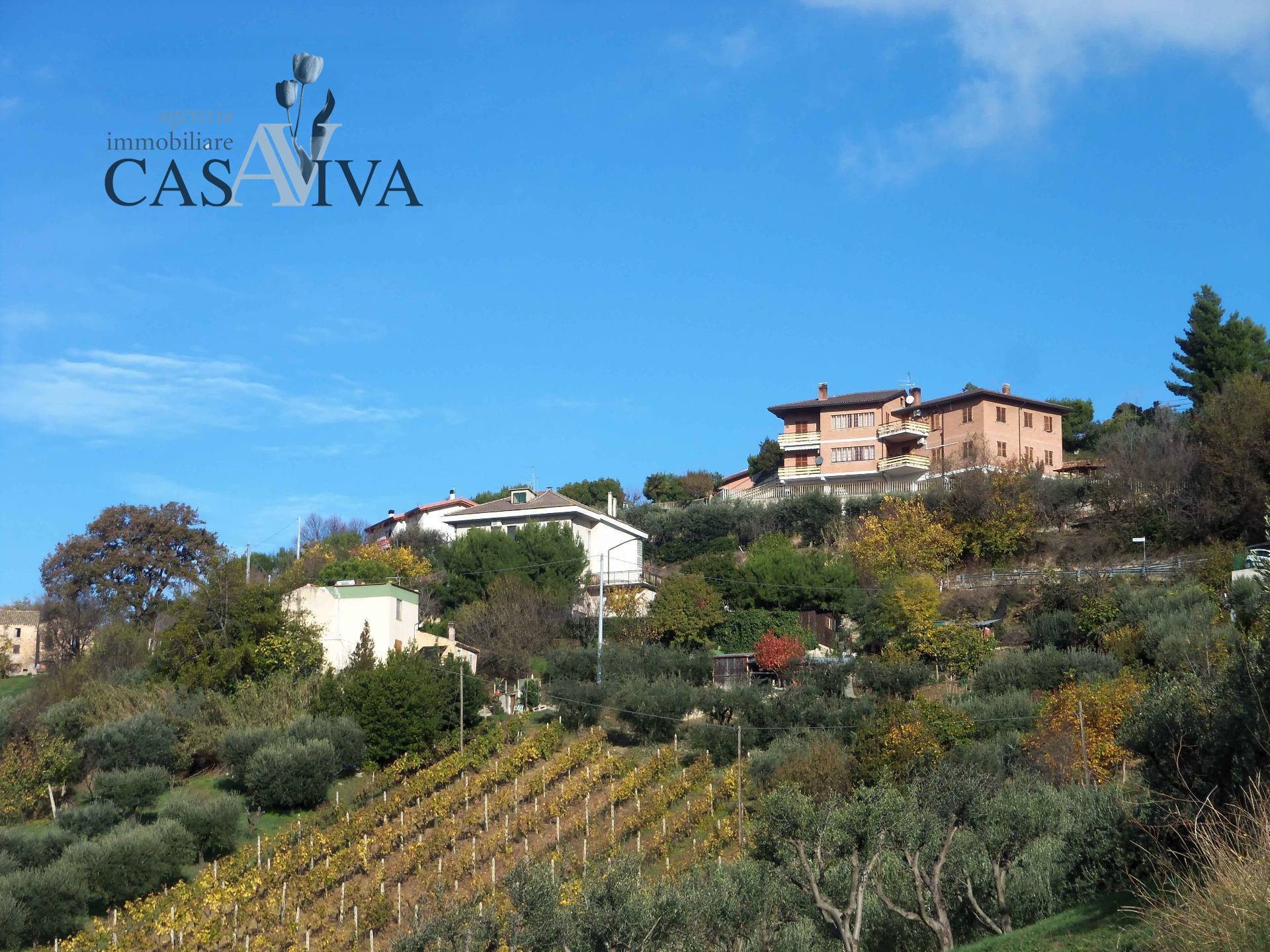 Terreno Agricolo in vendita a Acquaviva Picena, Panoramica