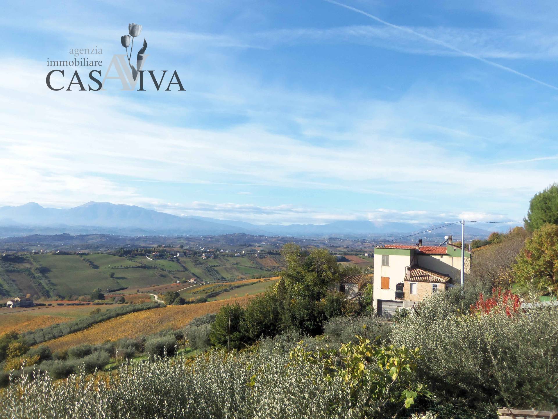 Terreno Agricolo in vendita a Acquaviva Picena, Panoramica