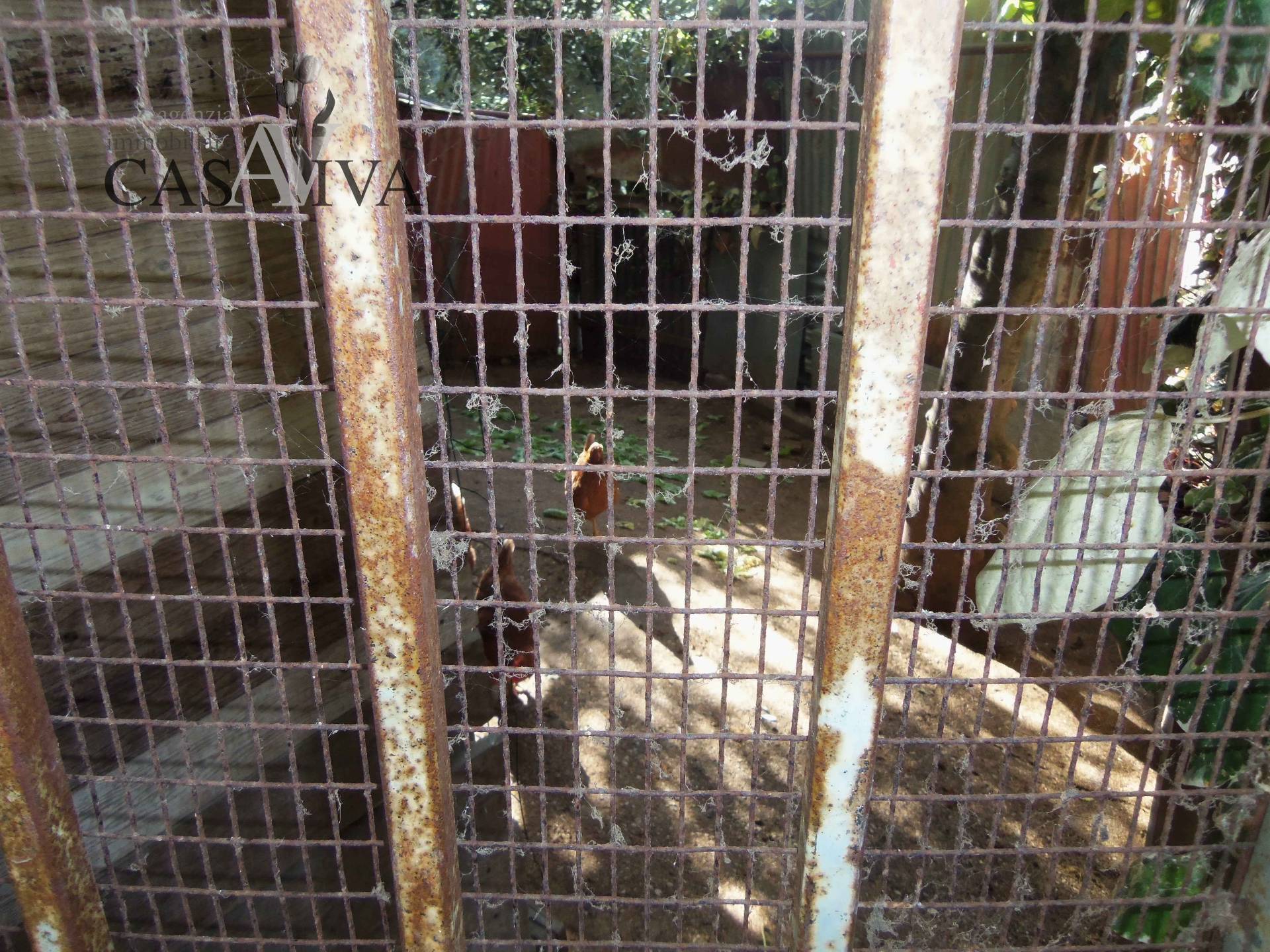 Terreno Agricolo in vendita a Acquaviva Picena, Panoramica