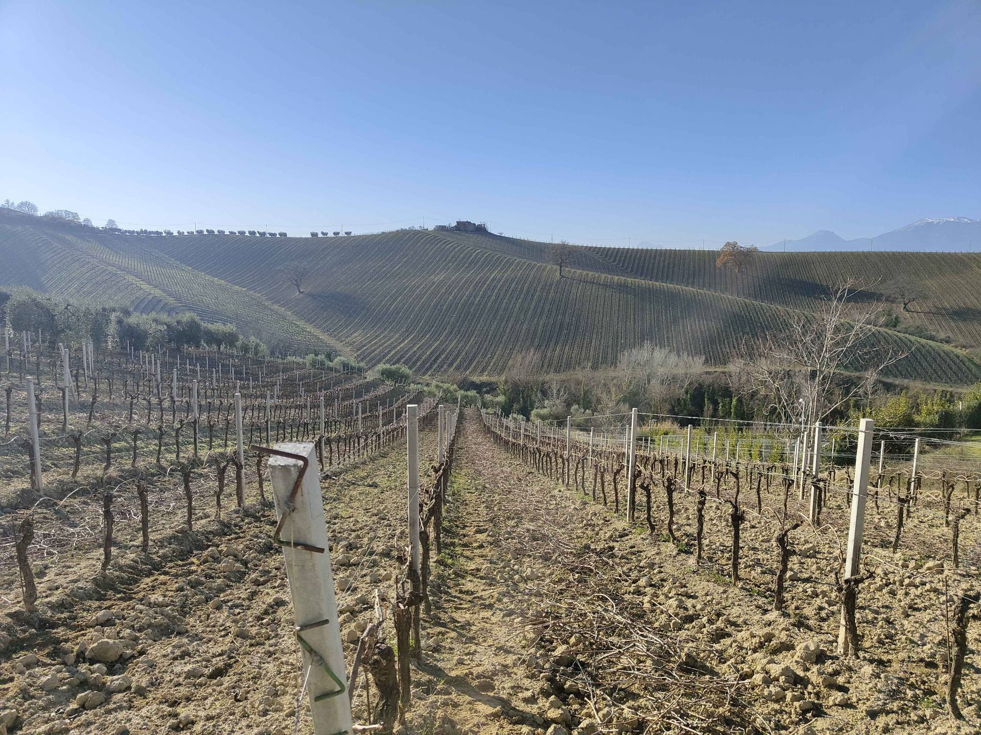 Rustico/Casale in vendita a Acquaviva Picena, Forola