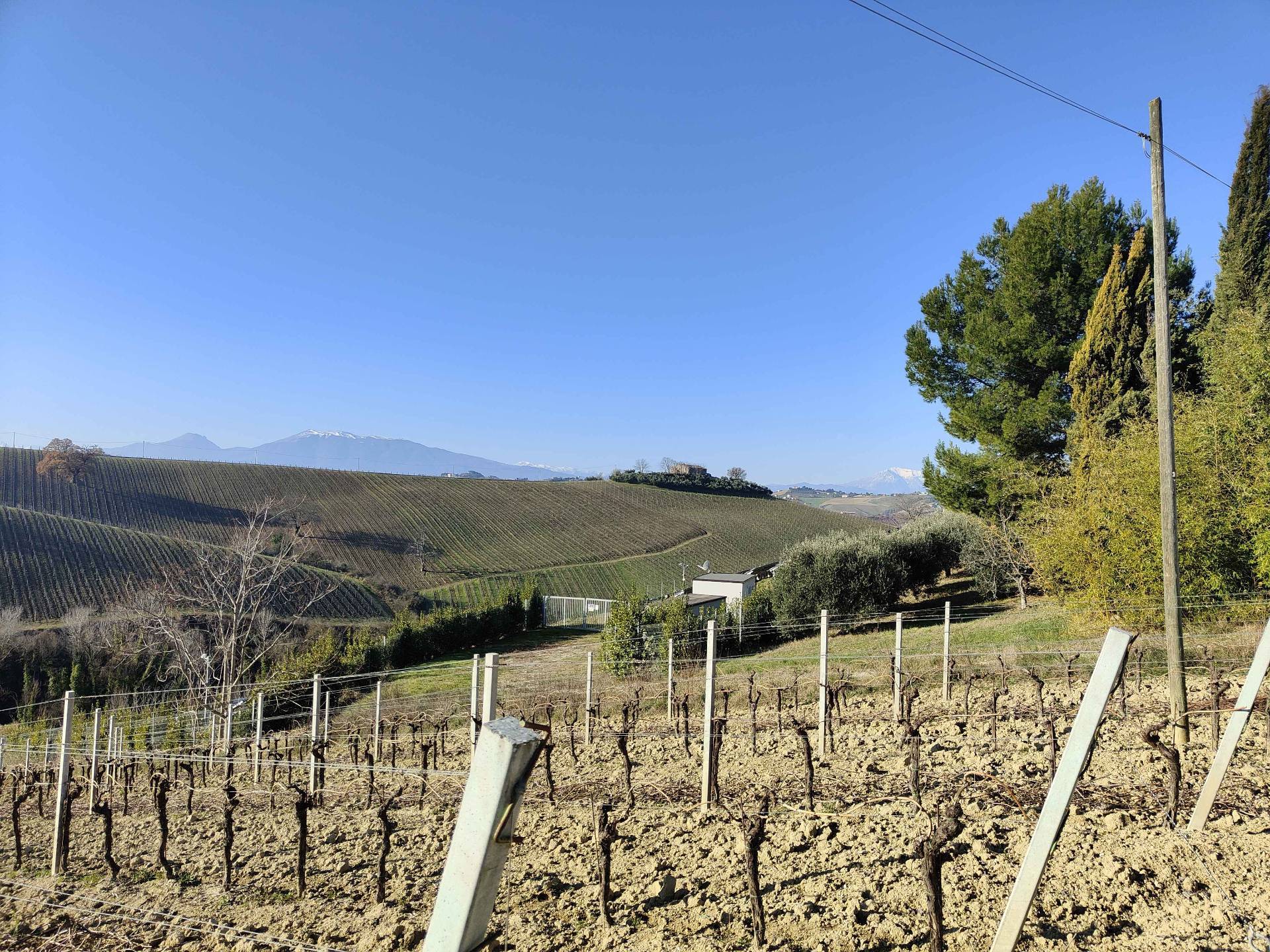 Rustico/Casale in vendita a Acquaviva Picena, Forola