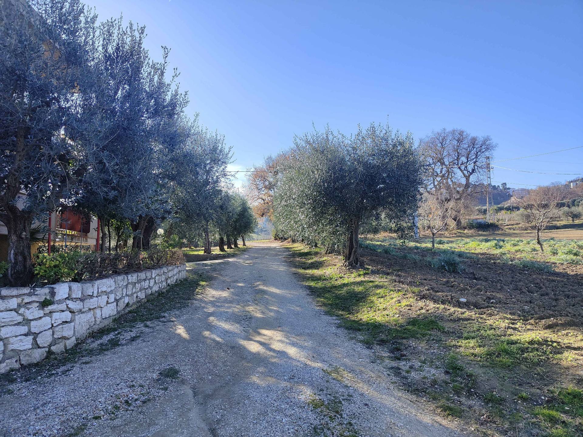 Rustico/Casale in vendita a Acquaviva Picena, Panoramica