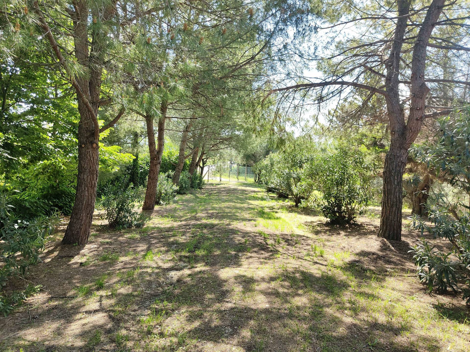 Rustico/Casale in vendita a Acquaviva Picena, Panoramica