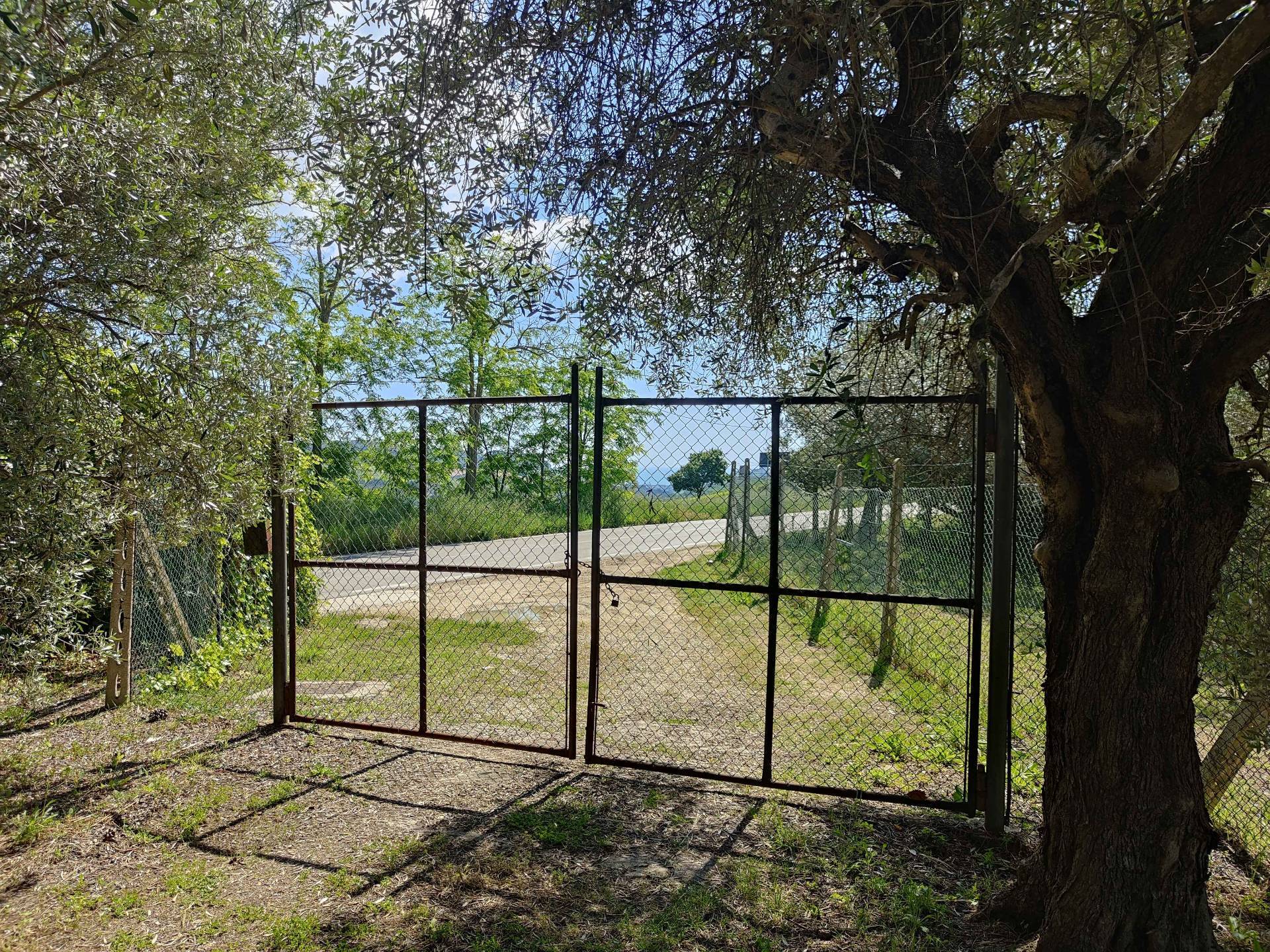 Rustico/Casale in vendita a Acquaviva Picena, Panoramica