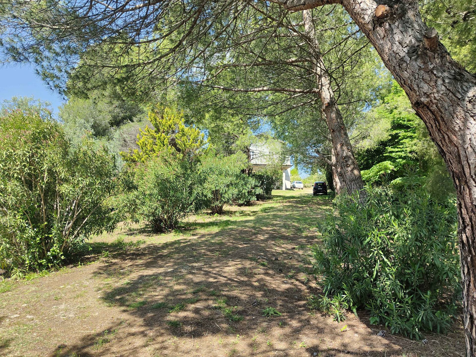 Rustico/Casale in vendita a Acquaviva Picena, Panoramica