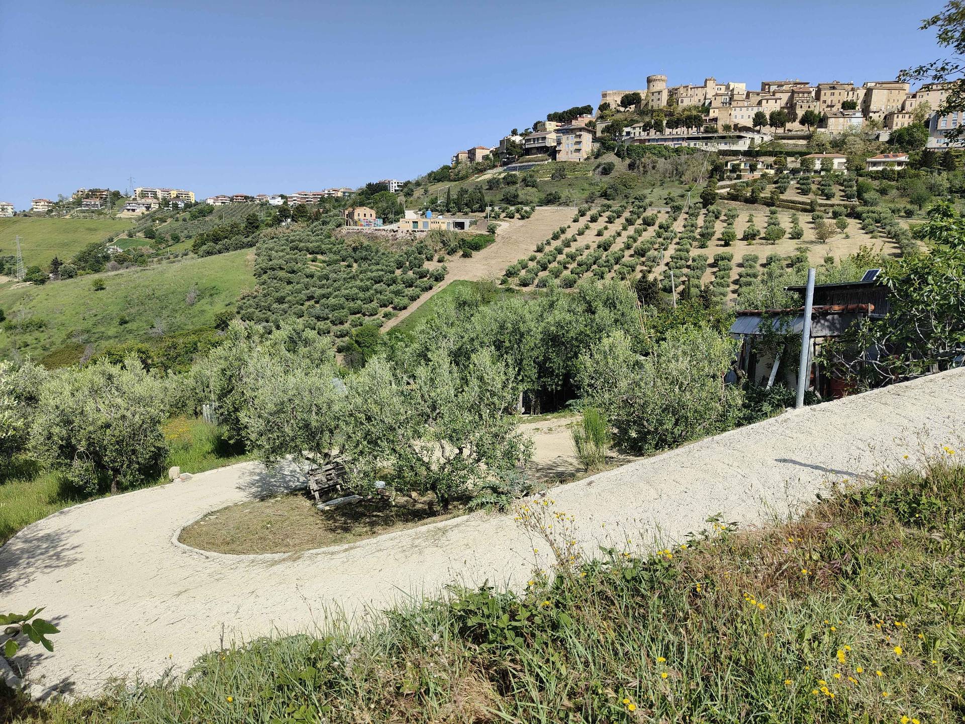 Terreno Agricolo in vendita a Acquaviva Picena, Centrale