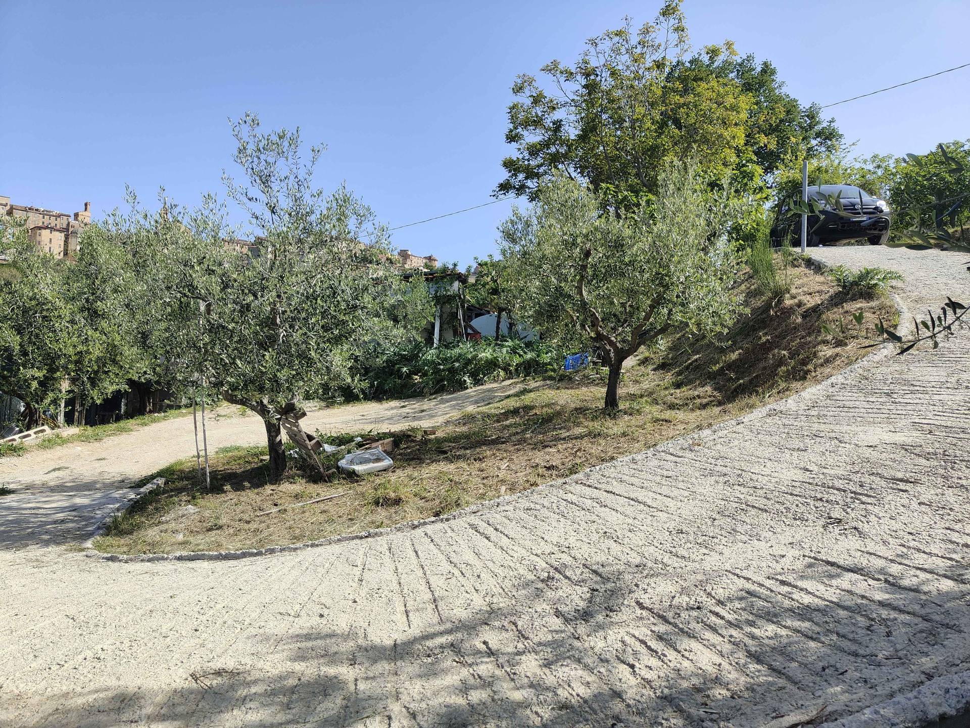 Terreno Agricolo in vendita a Acquaviva Picena, Centrale