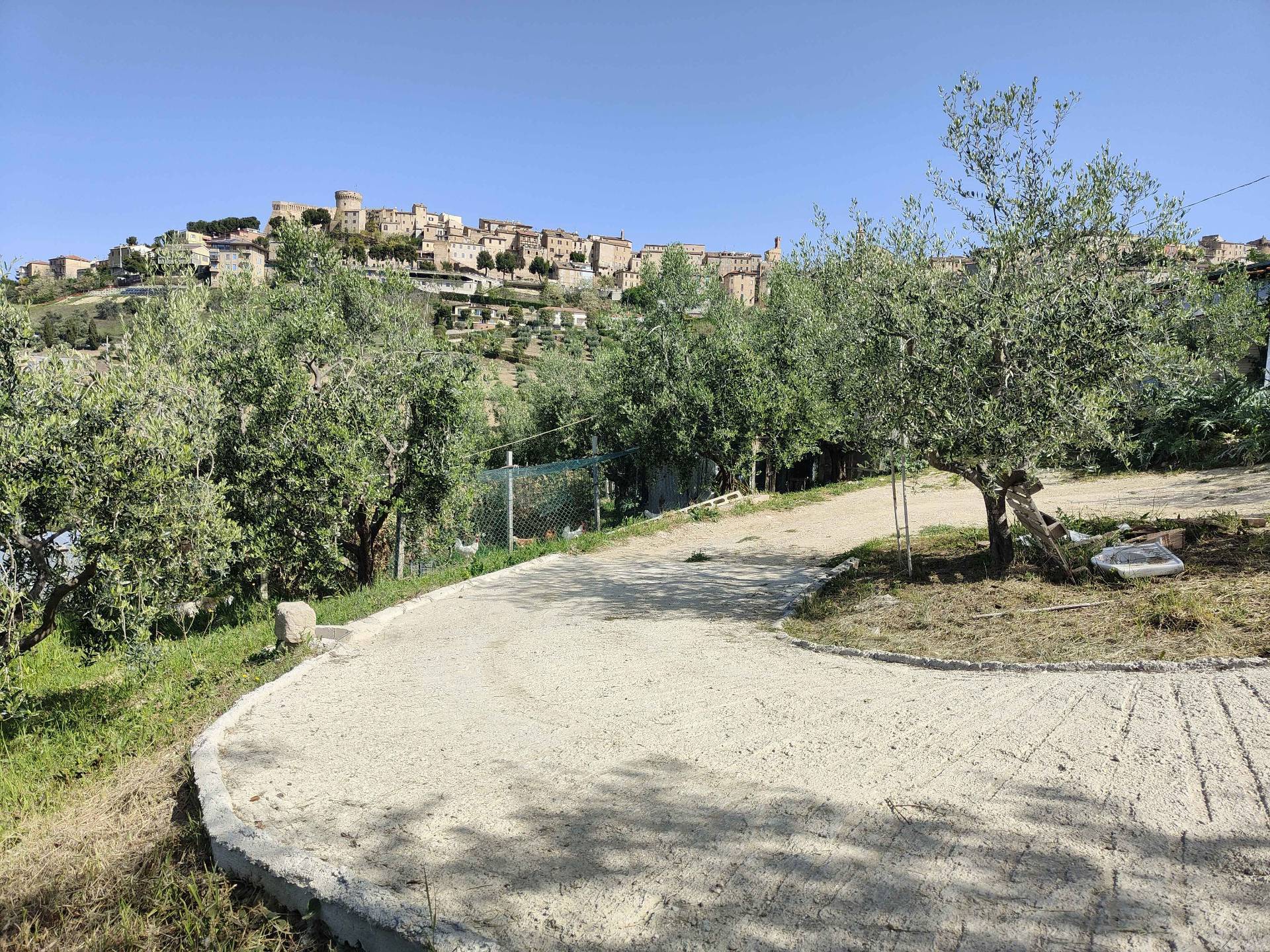 Terreno Agricolo in vendita a Acquaviva Picena, Centrale