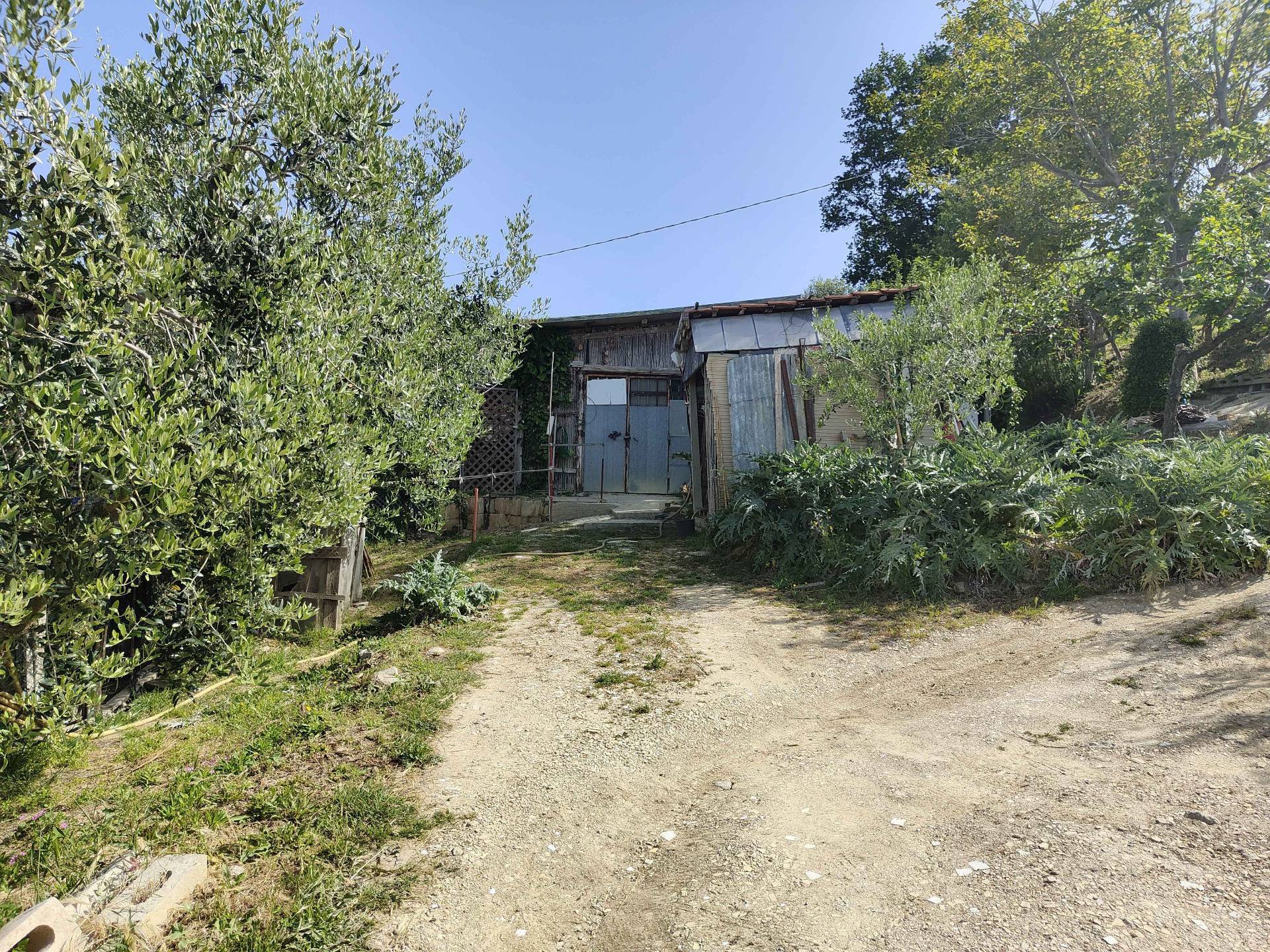 Terreno Agricolo in vendita a Acquaviva Picena, Centrale