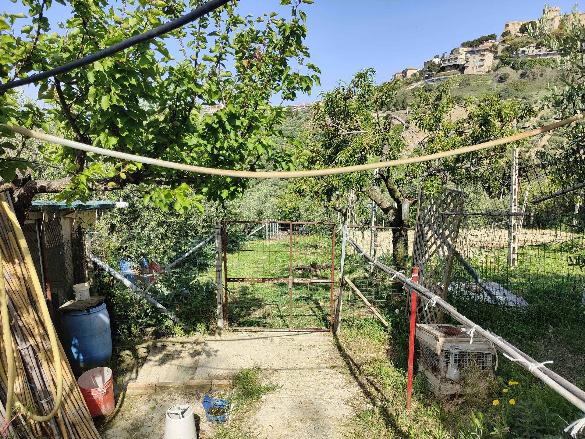 Terreno Agricolo in vendita a Acquaviva Picena, Centrale