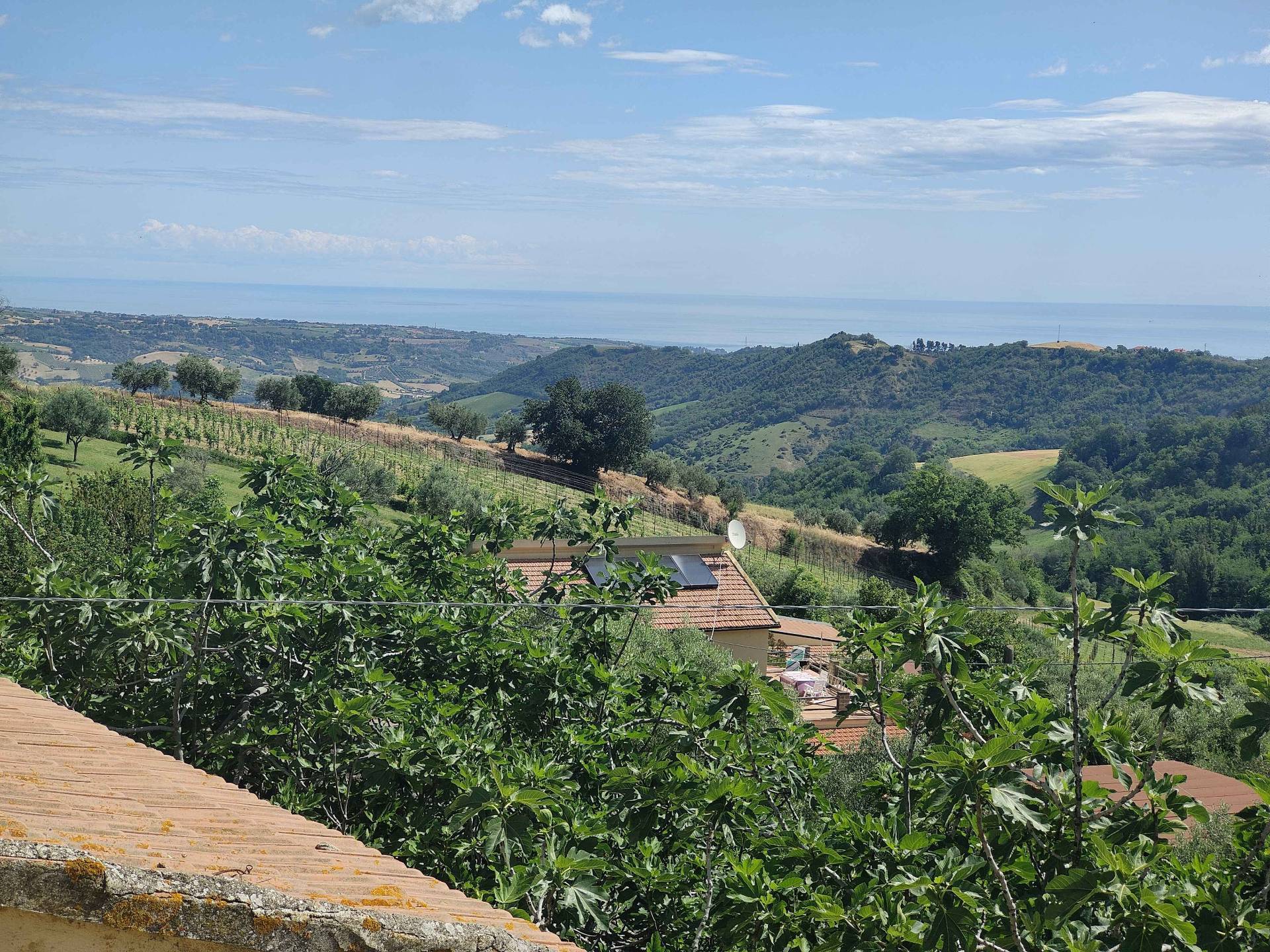 Rustico/Casale in vendita a Ripatransone, Centro Storico