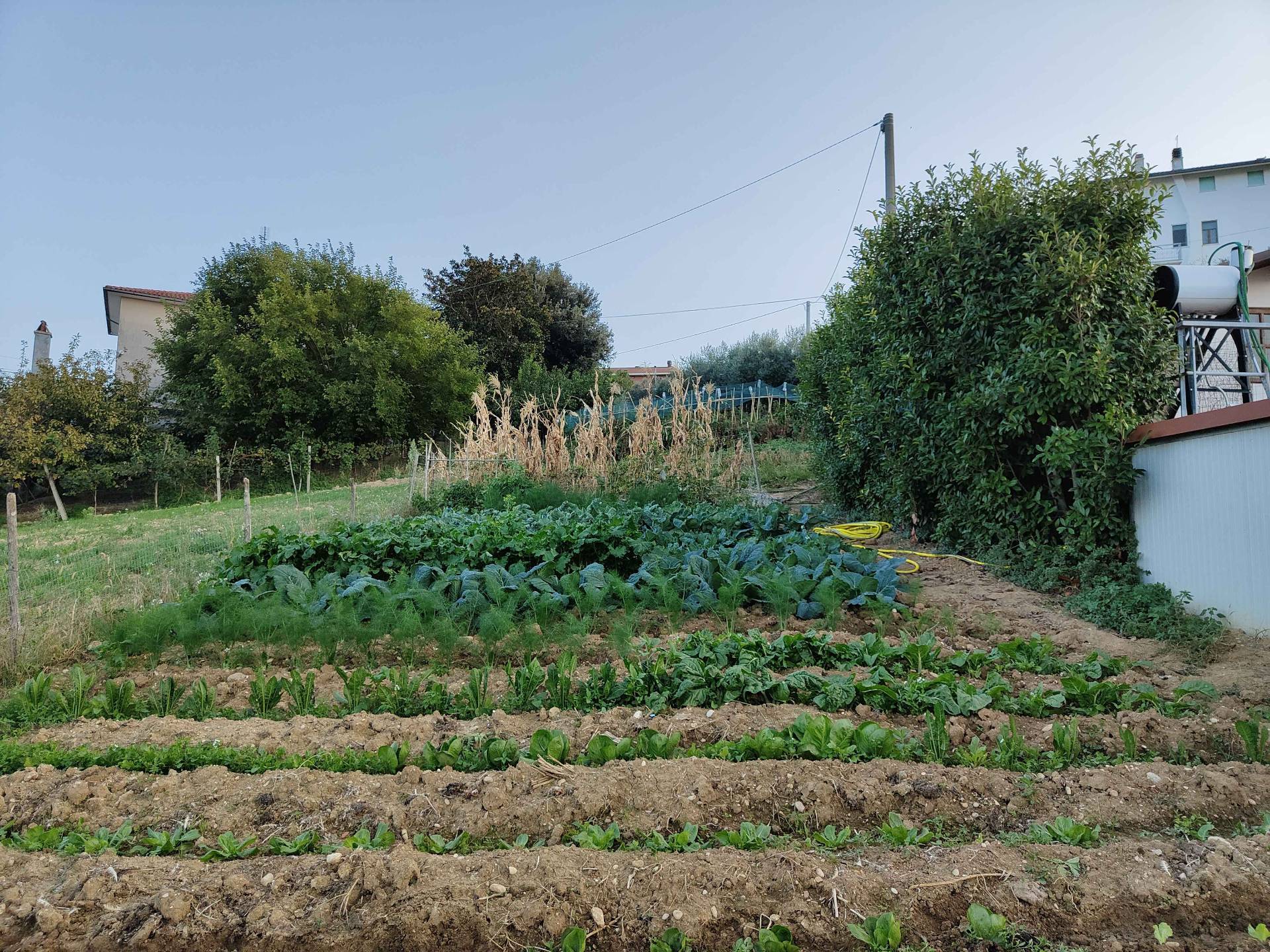 immagine annuncio 6 di 10