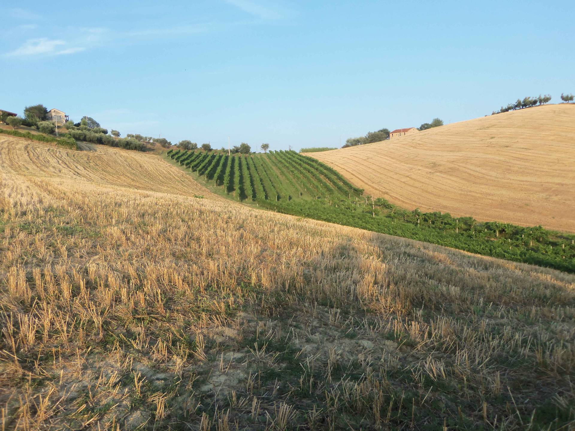 immagine annuncio 6 di 7