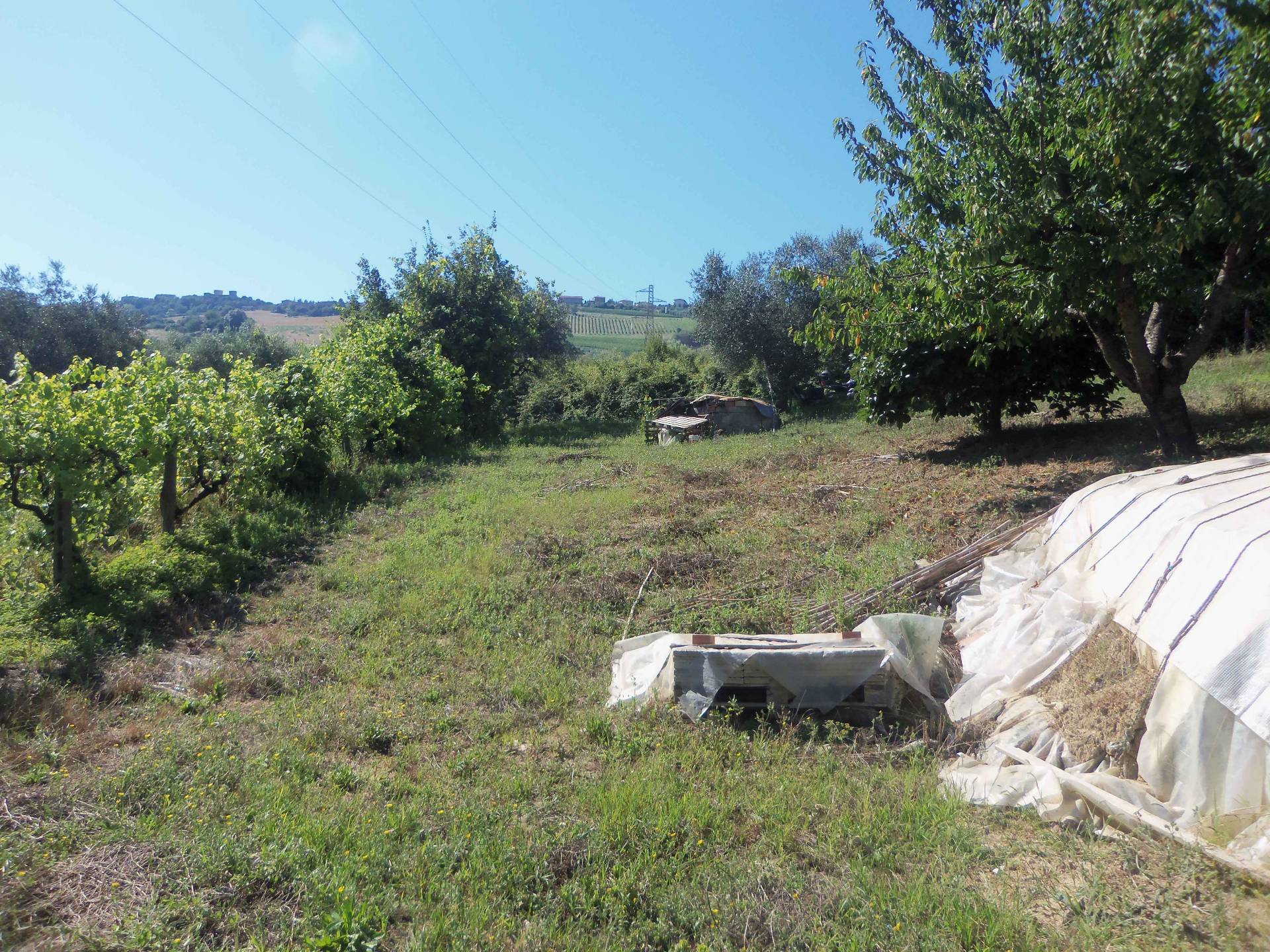 Terreno Agricolo in vendita a Acquaviva Picena