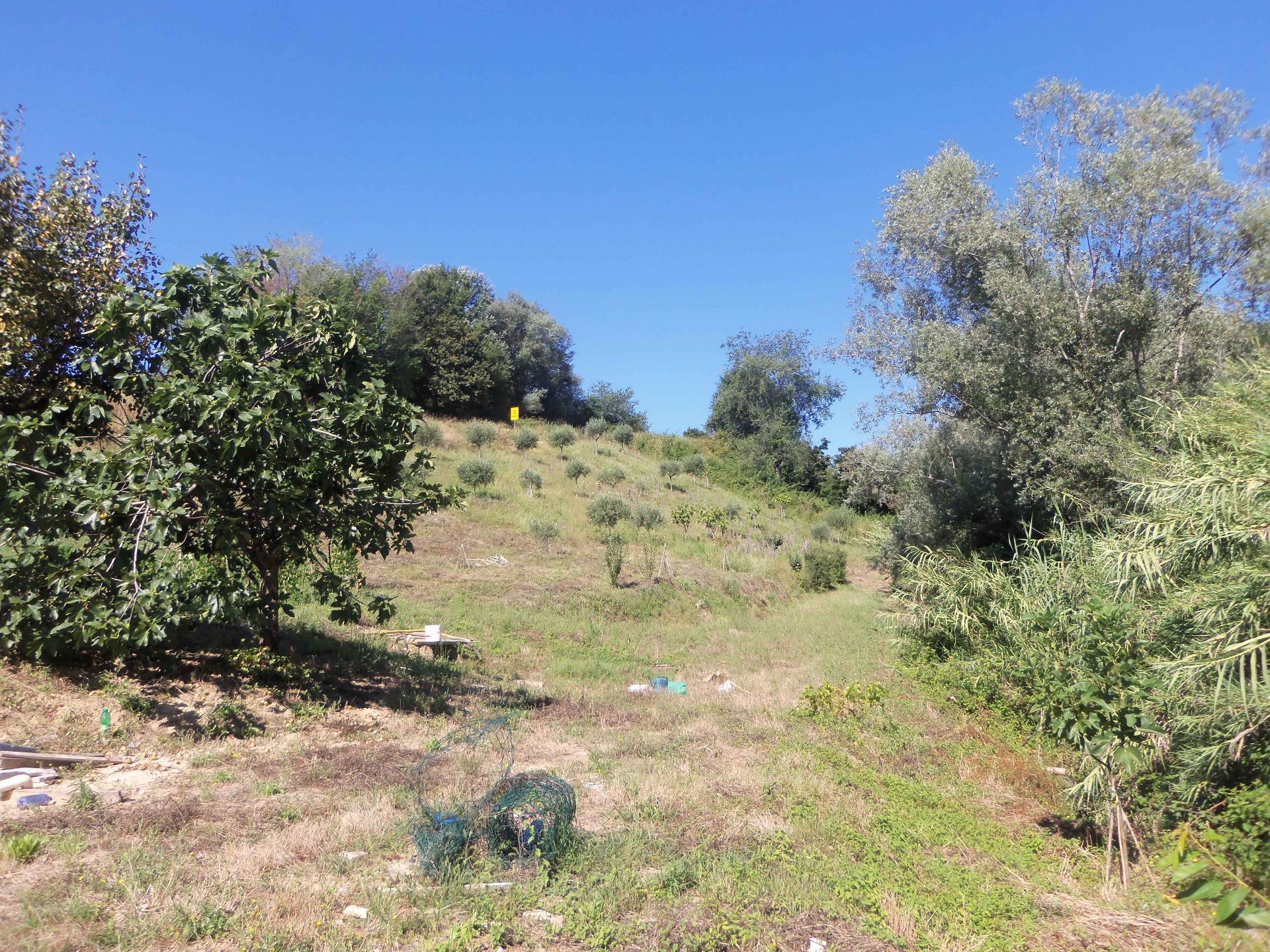 Terreno Agricolo in vendita a Acquaviva Picena