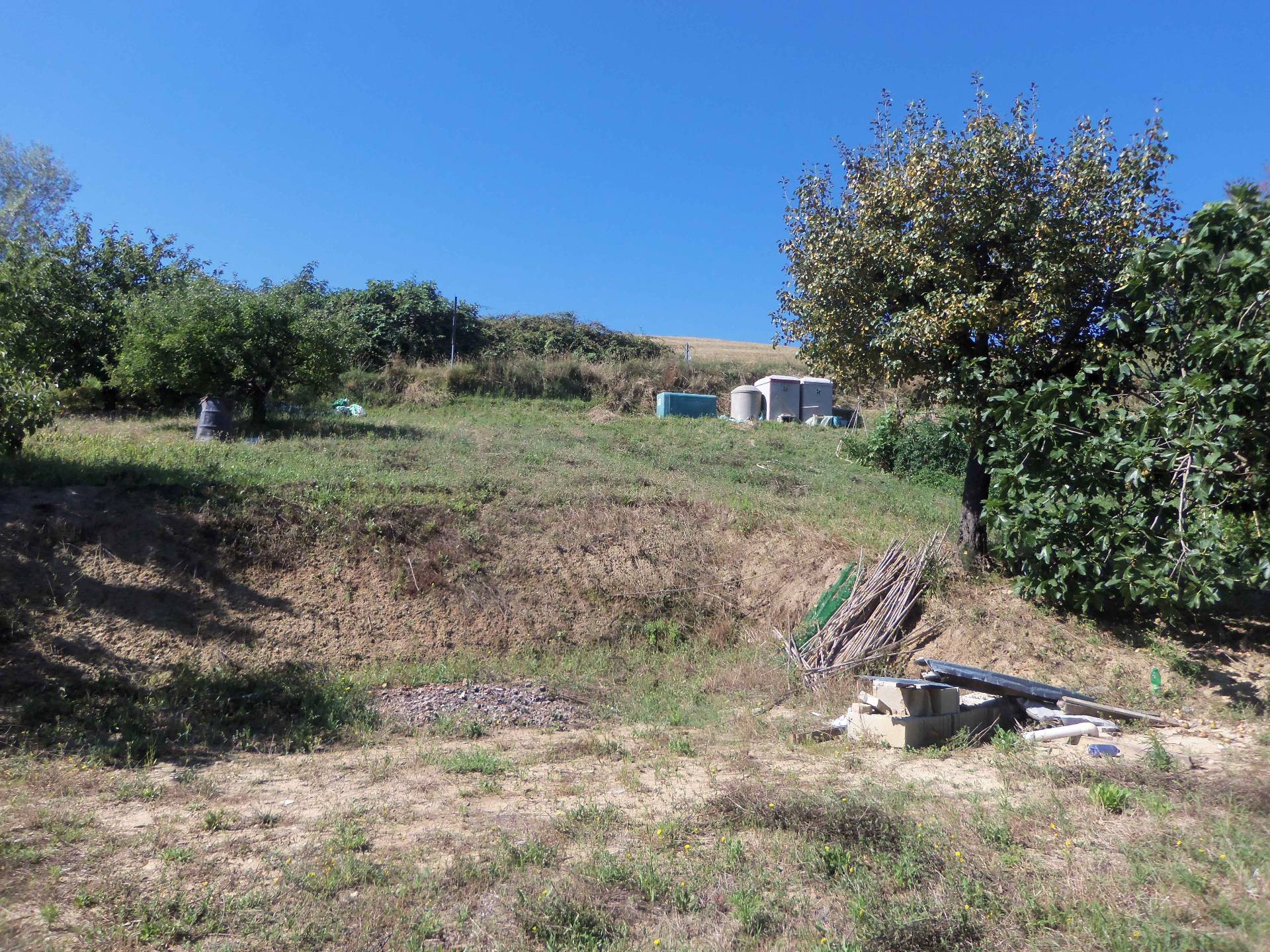 Terreno Agricolo in vendita a Acquaviva Picena