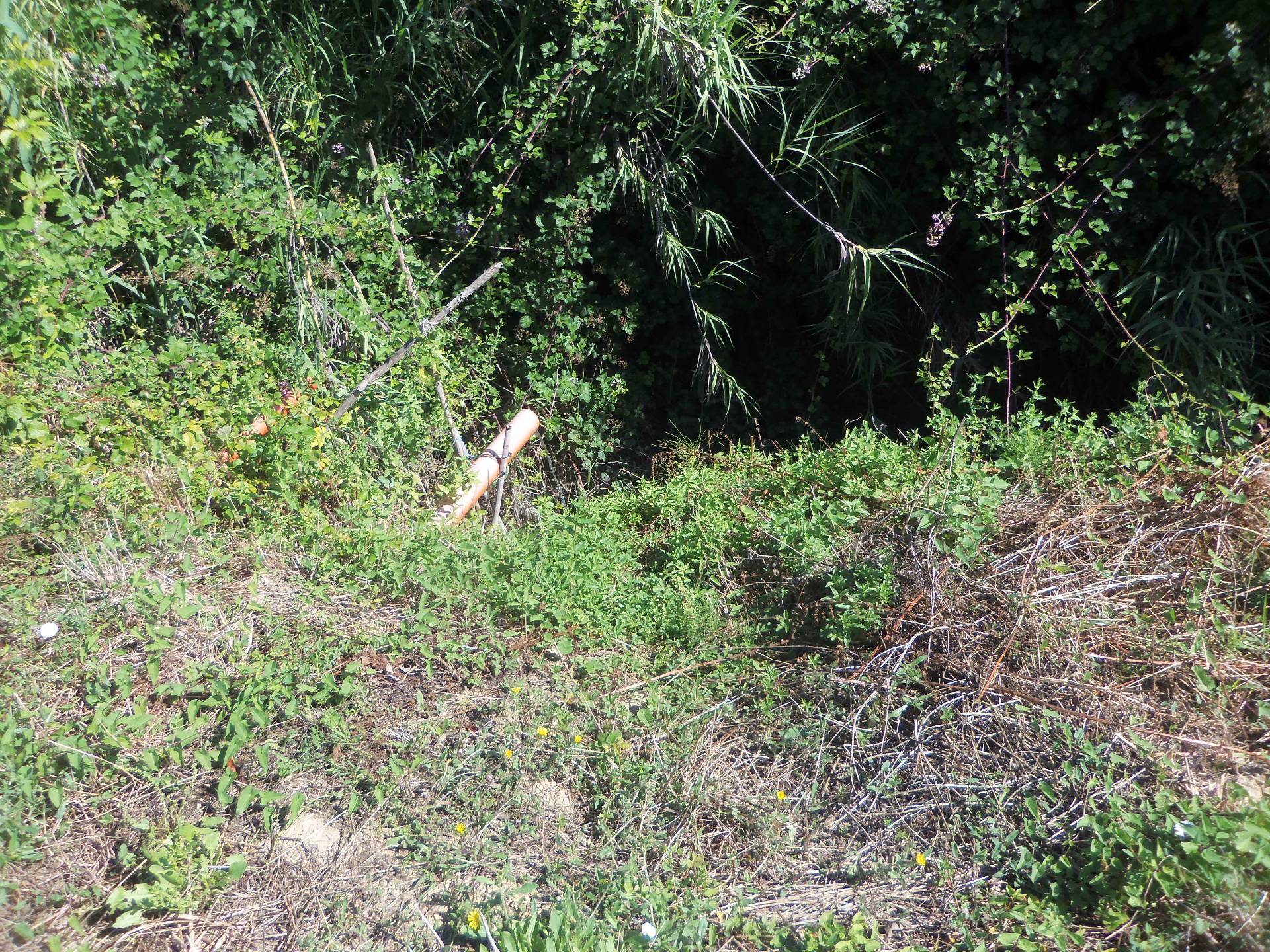 Terreno Agricolo in vendita a Acquaviva Picena