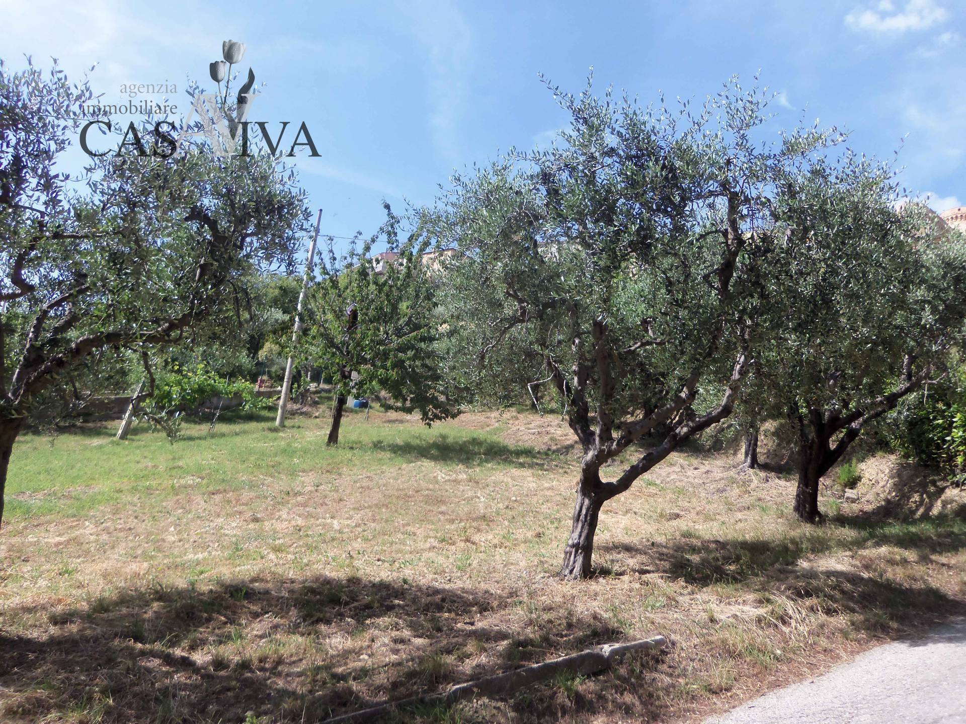 Terreno edificabile in vendita a Acquaviva Picena, Residenziale