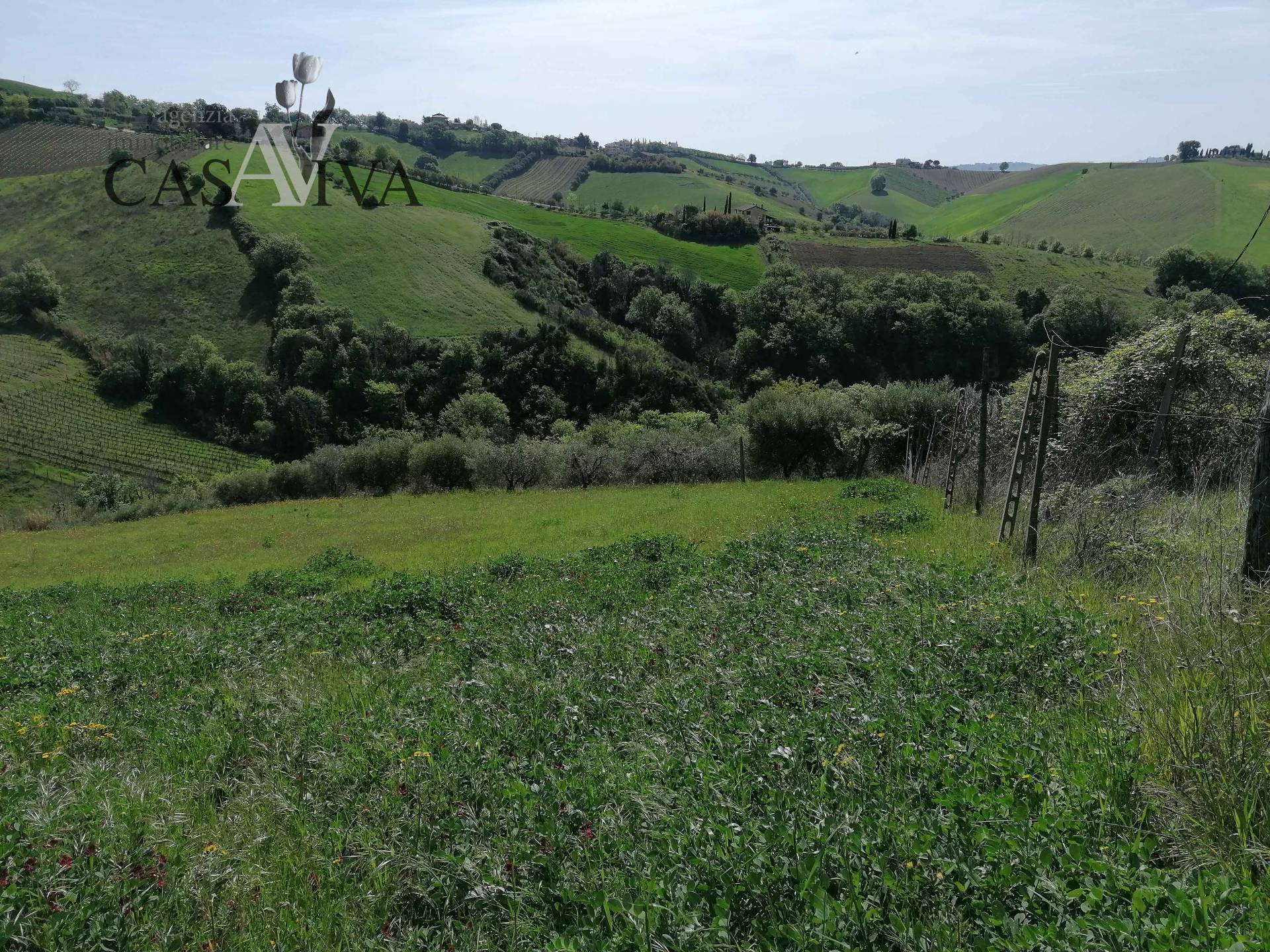 Terreno Agricolo in vendita a Acquaviva Picena, Forola