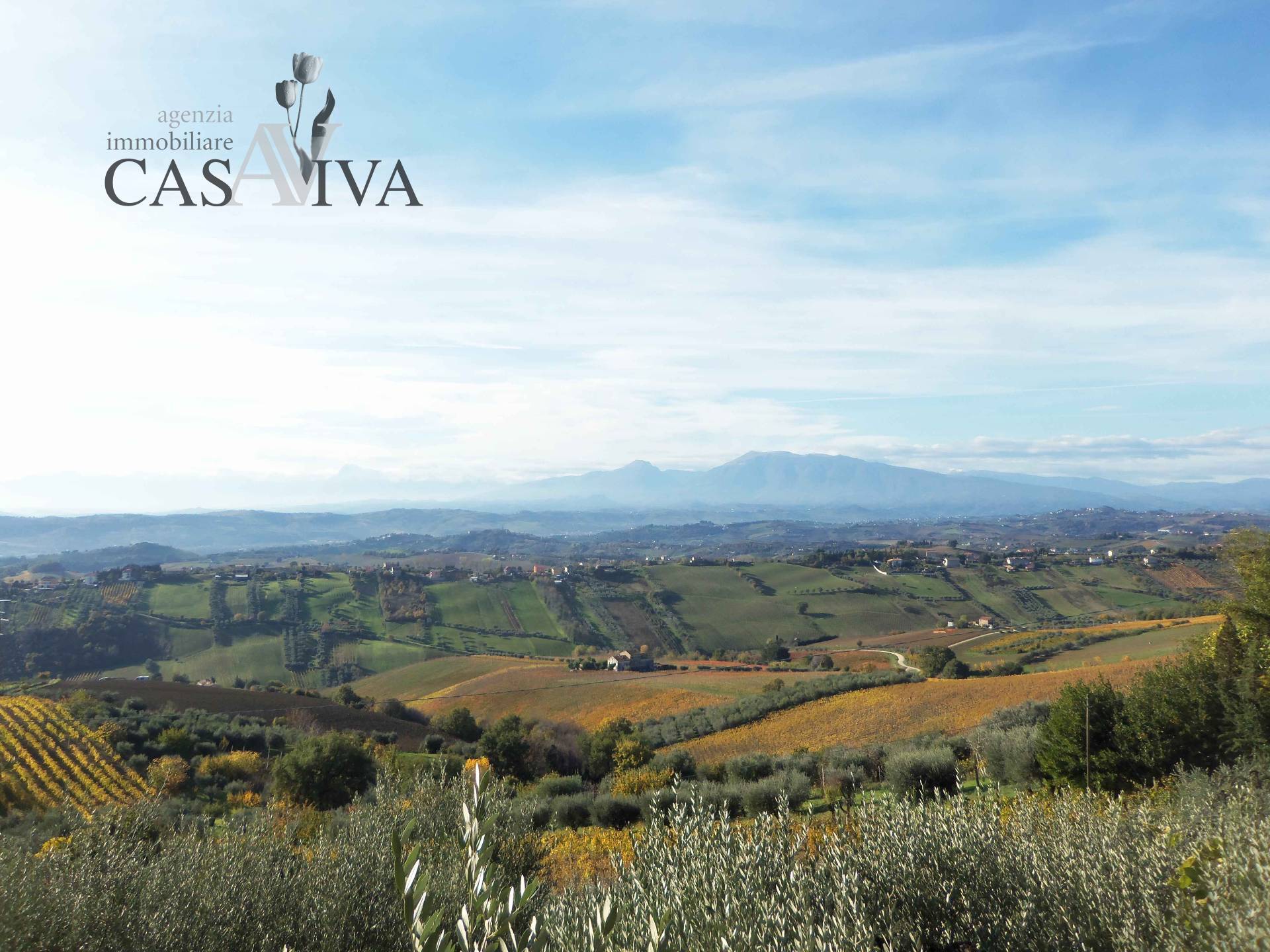 Terreno Agricolo in vendita a Acquaviva Picena, Panoramica