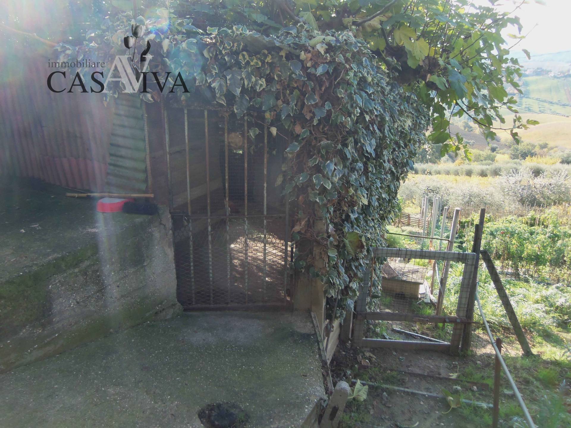 Terreno Agricolo in vendita a Acquaviva Picena, Panoramica