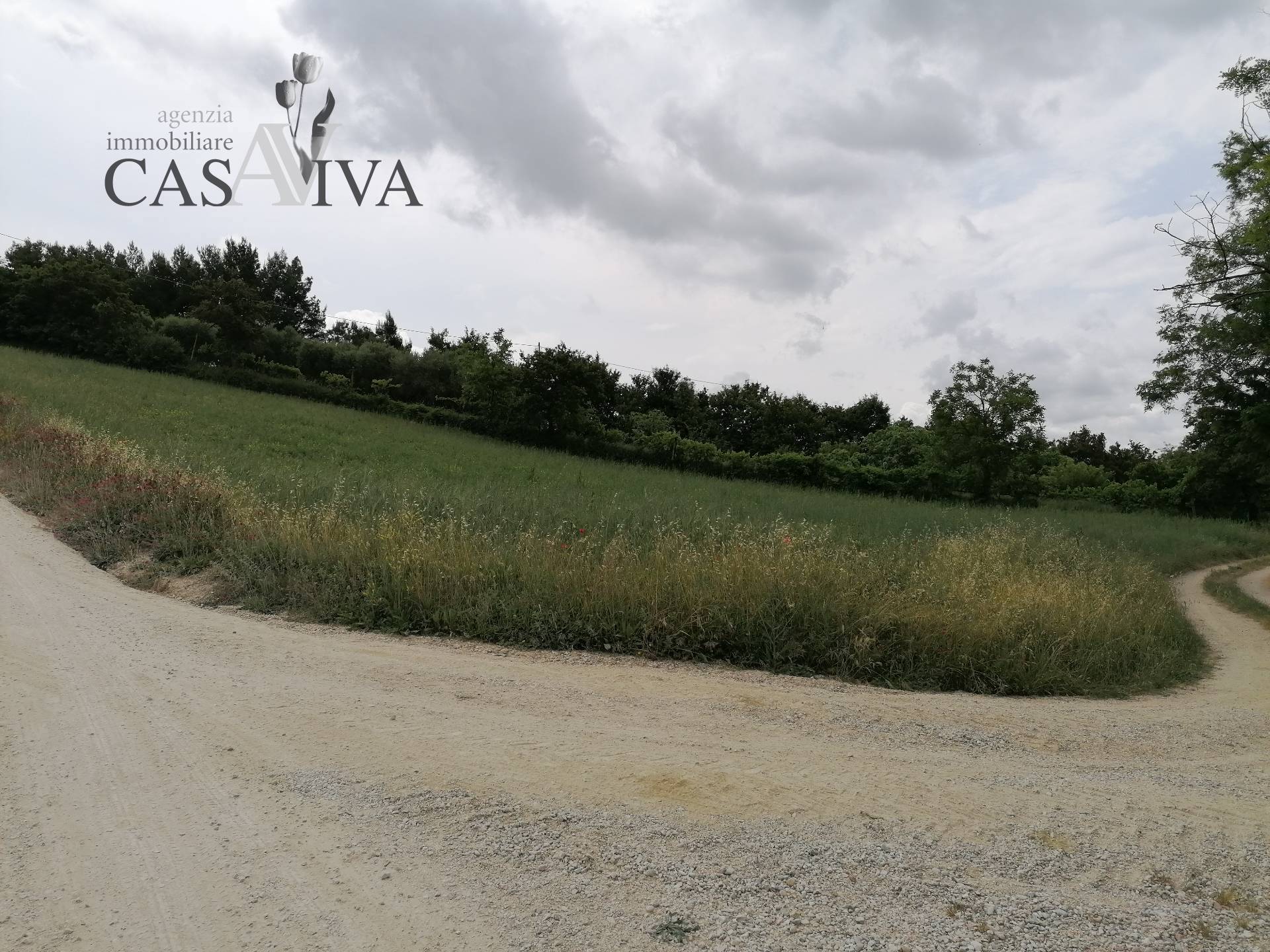 Terreno Agricolo in vendita a Acquaviva Picena, Forola