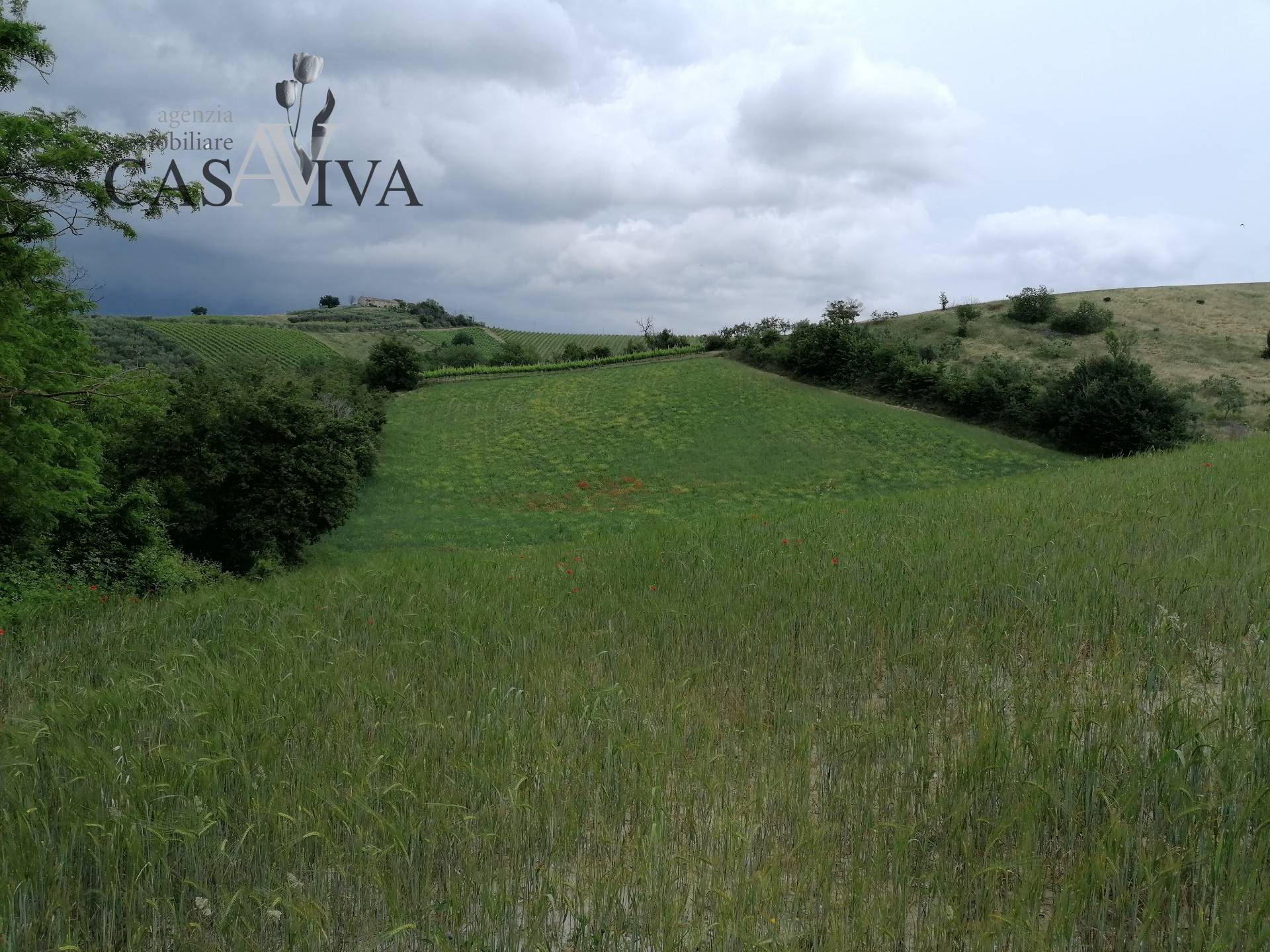 Terreno Agricolo in vendita a Acquaviva Picena, Forola