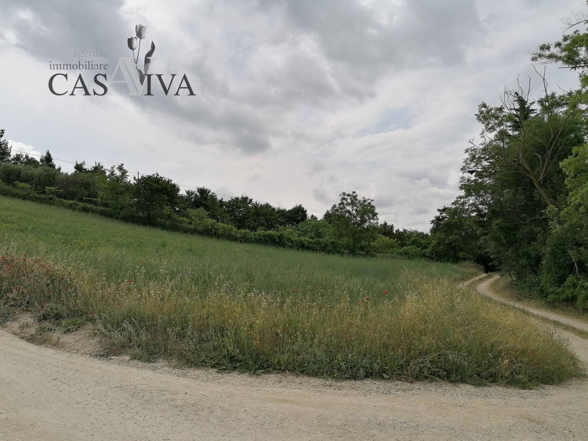 Terreno Agricolo in vendita a Acquaviva Picena, Forola