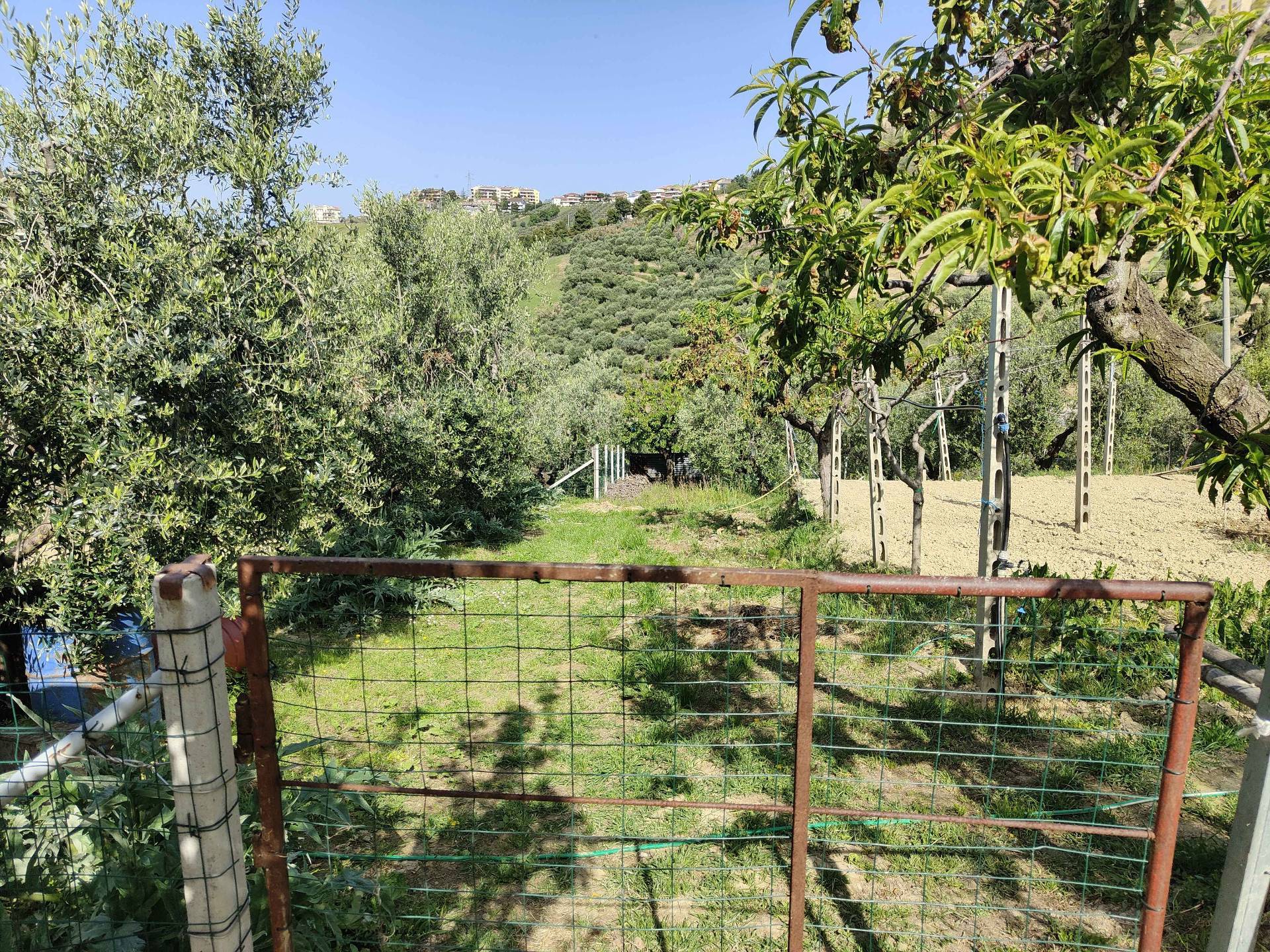 Terreno Agricolo in vendita a Acquaviva Picena, Centrale