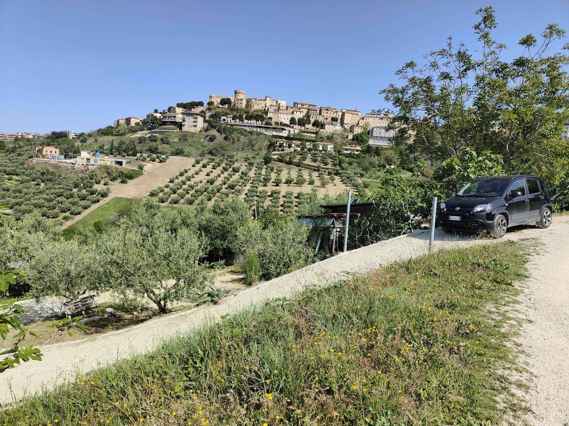 Terreno Agricolo in vendita a Acquaviva Picena, Centrale