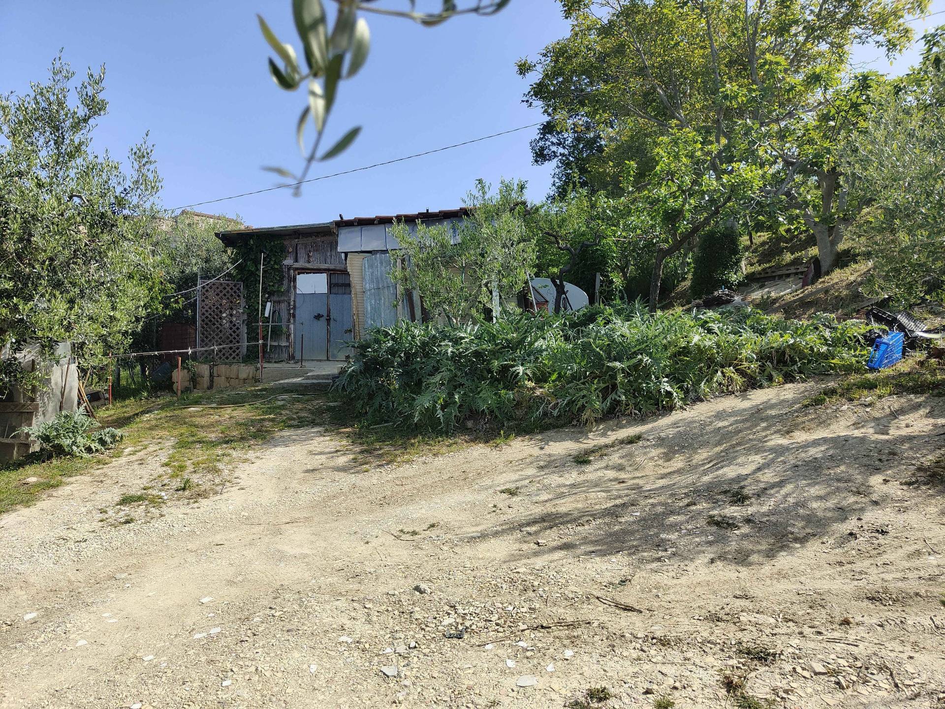 Terreno Agricolo in vendita a Acquaviva Picena, Centrale