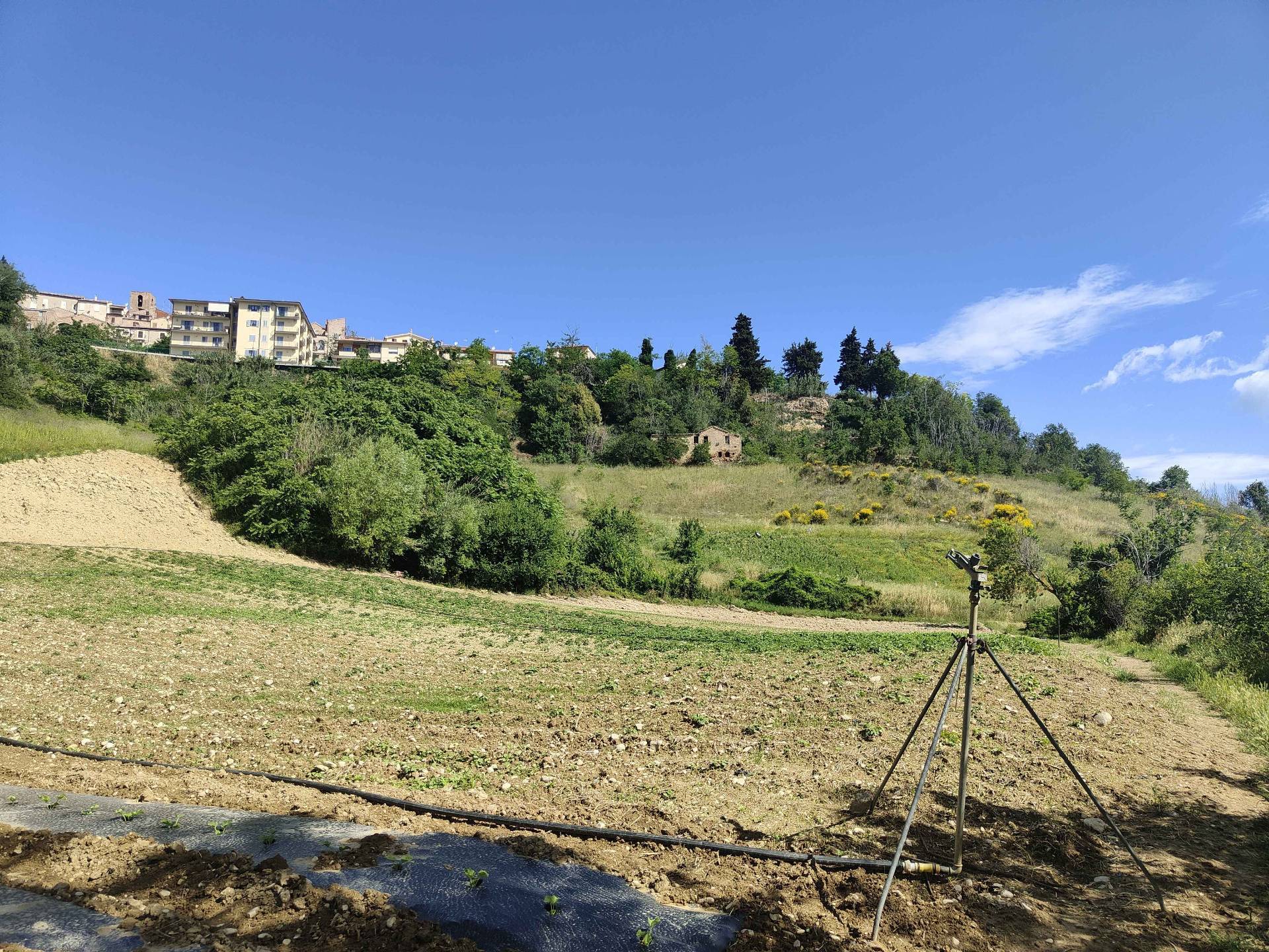 Rustico/Casale in vendita a Ripatransone, Centro Storico