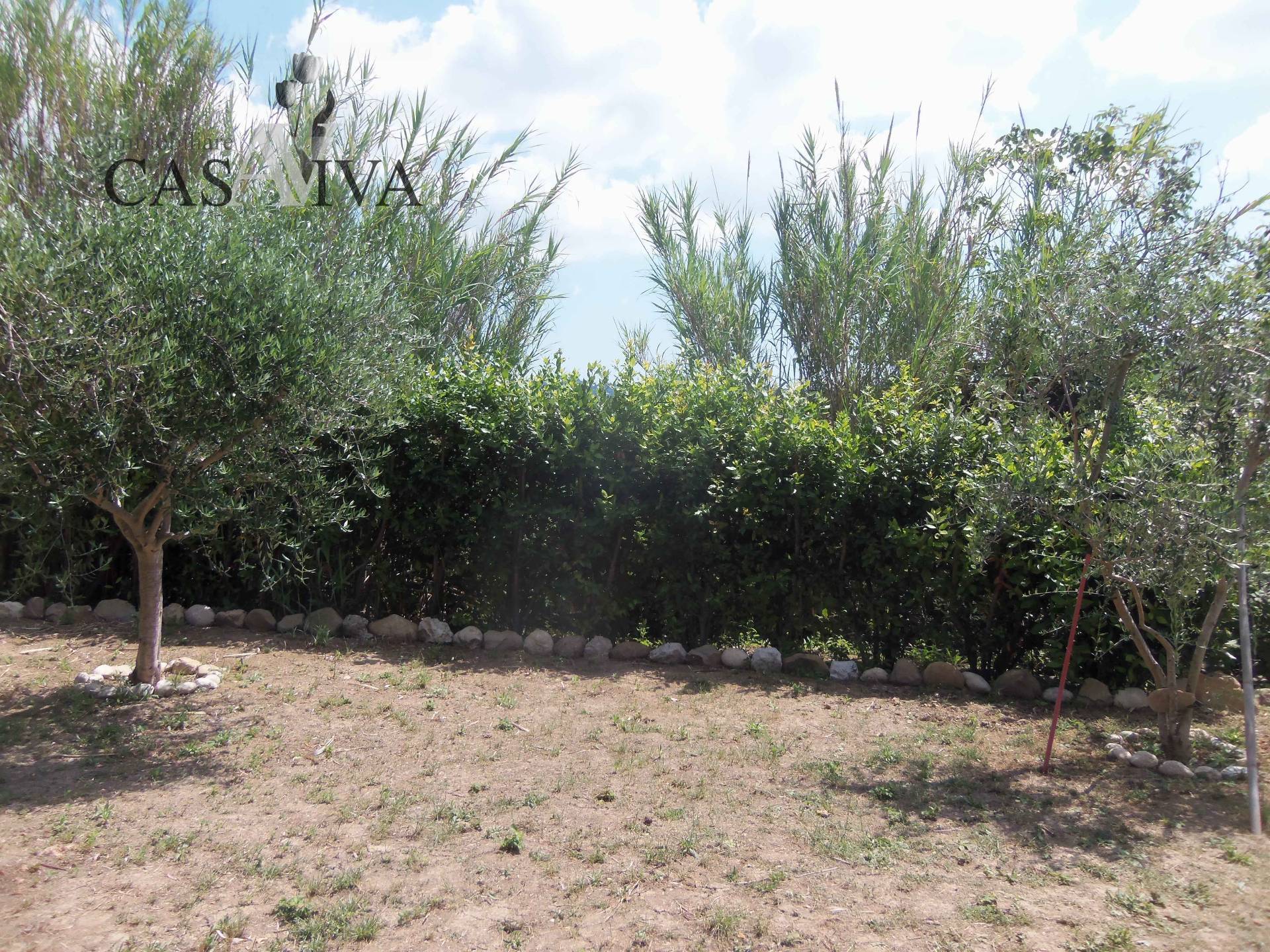 Terreno Agricolo in vendita a Acquaviva Picena, Forola