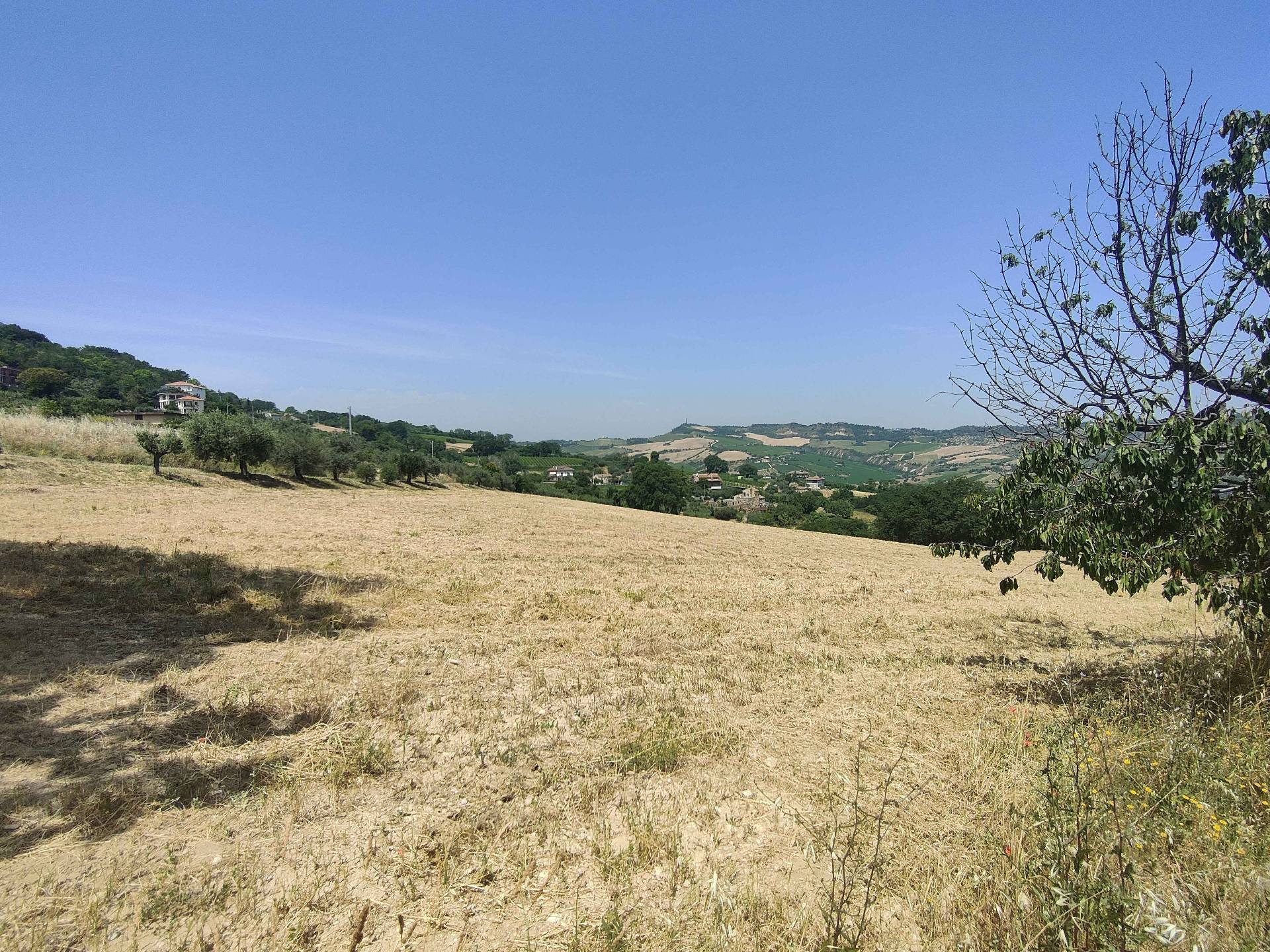 Terreno Agricolo in vendita a Acquaviva Picena, Panoramica